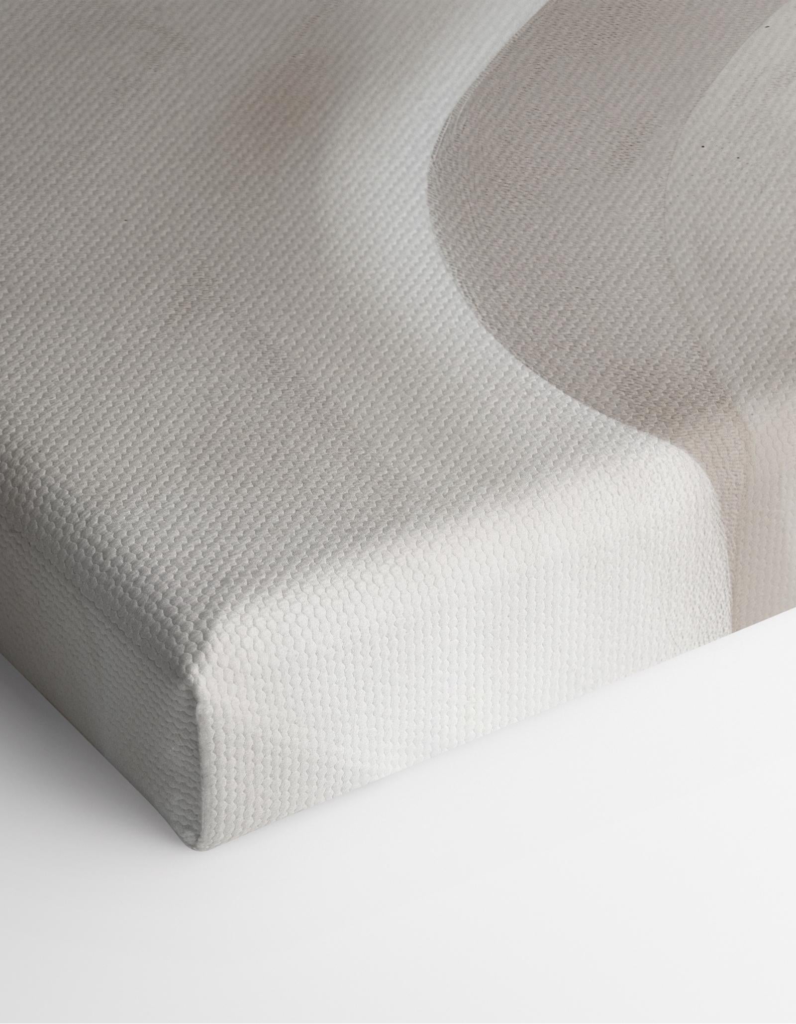 Soft Forms Canvas