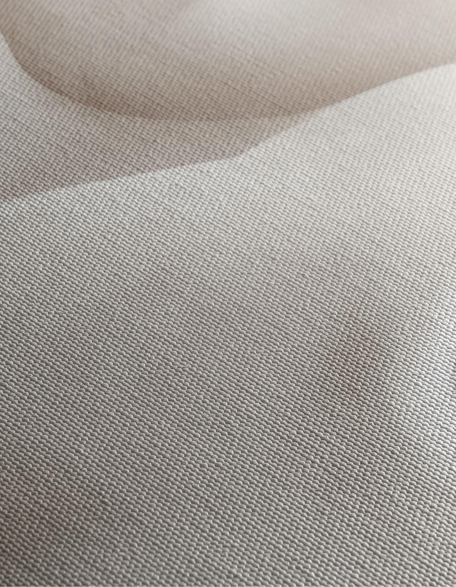 Soft Forms Canvas