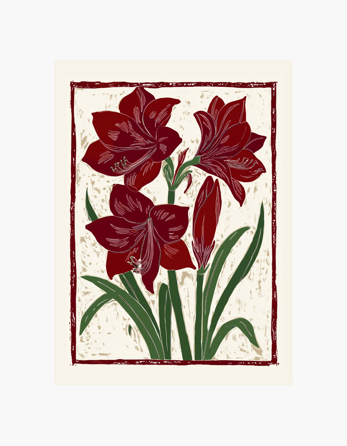 Plakat med amaryllisblomst