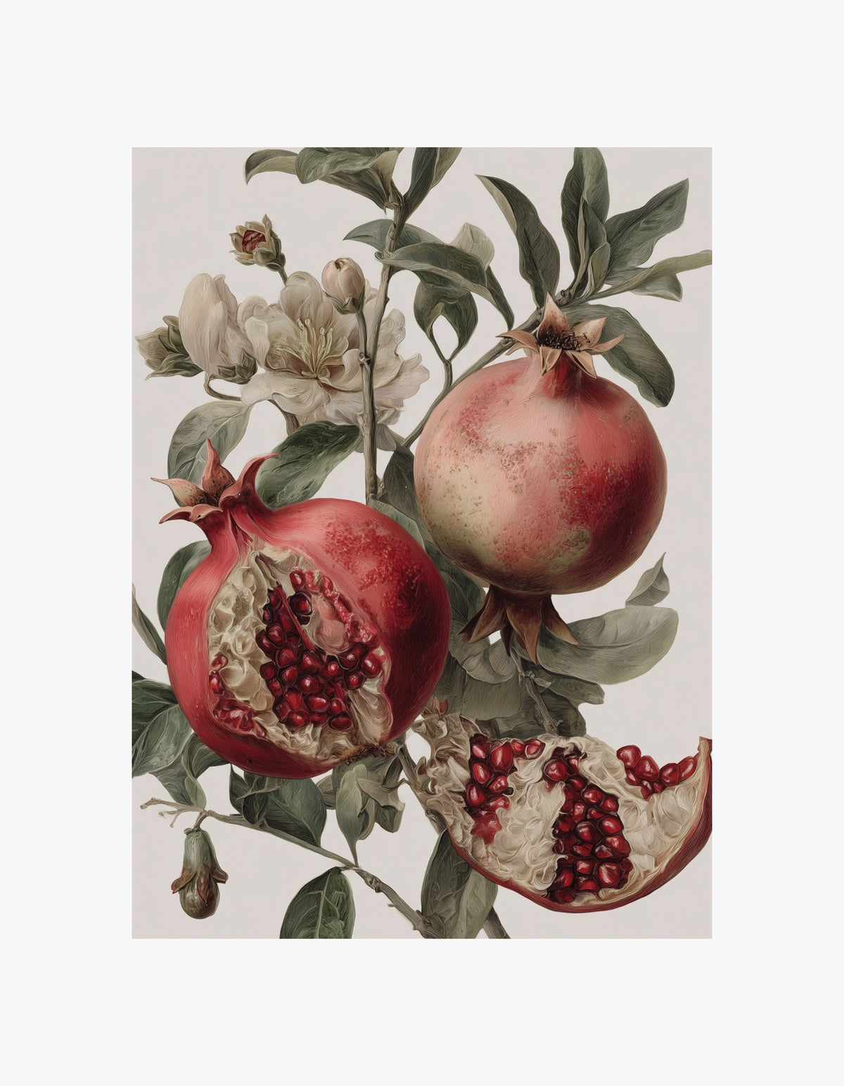 Botanisk plakat med granatæble