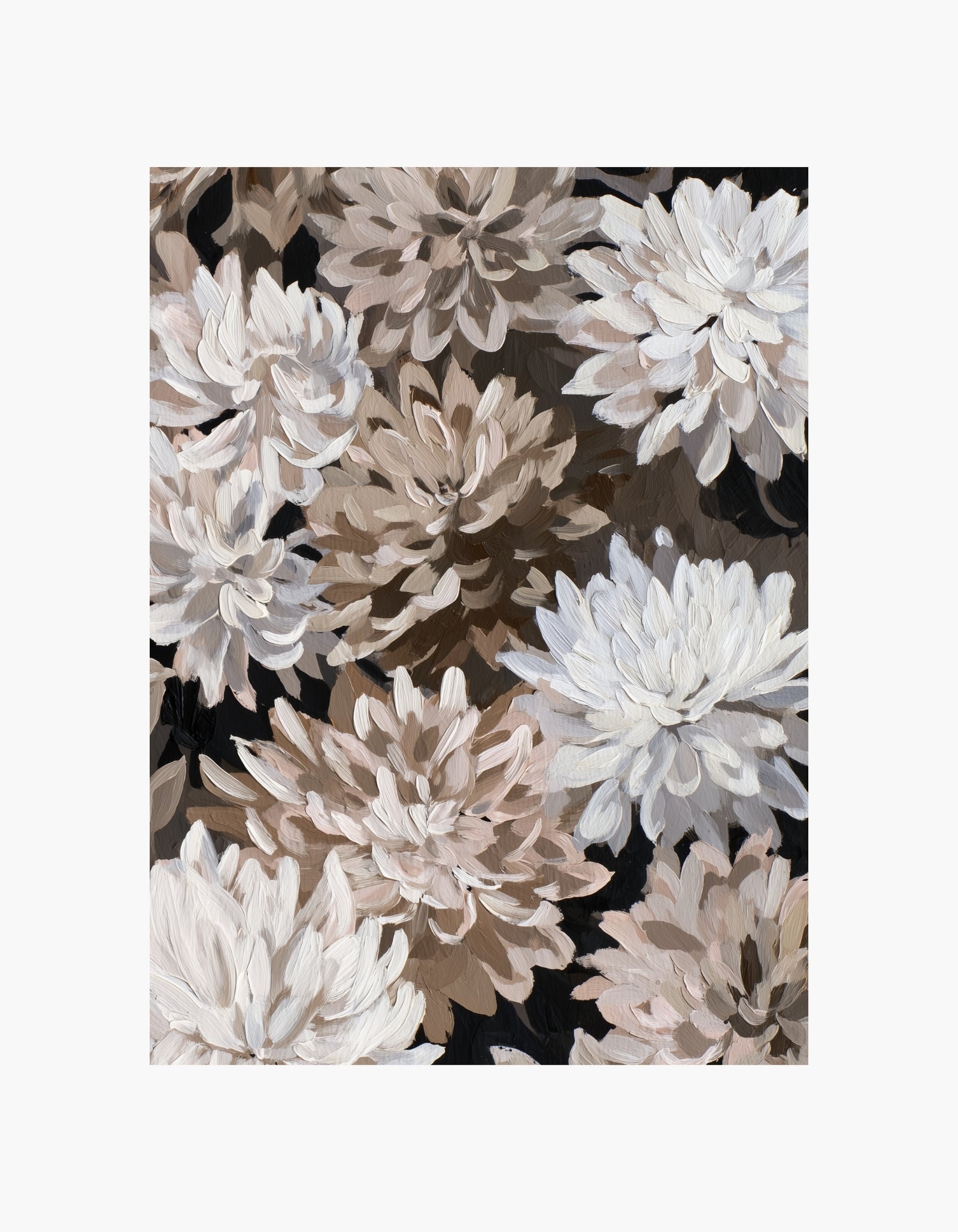 Krysantemum blomster plakat