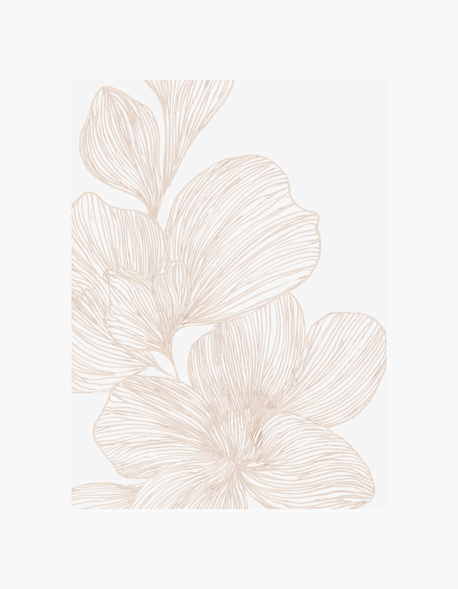 Line Flower No3 Plakat