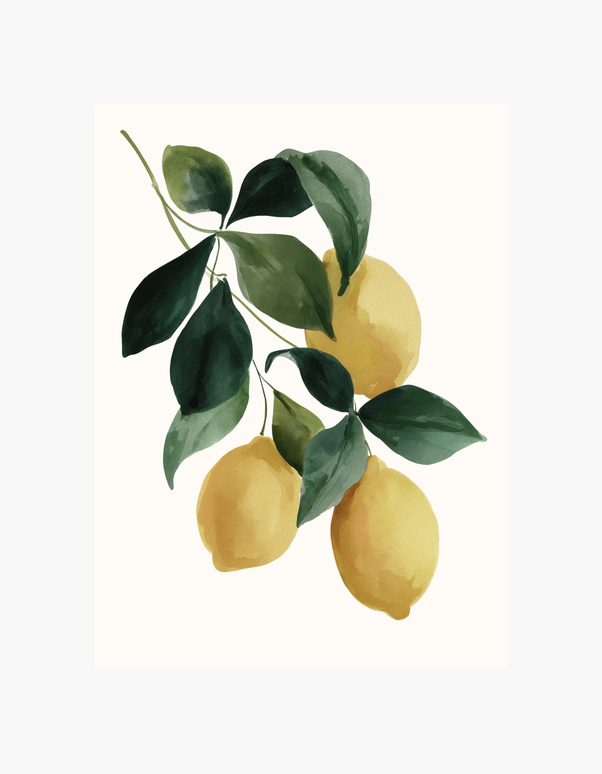 Plakat med citronkvist
