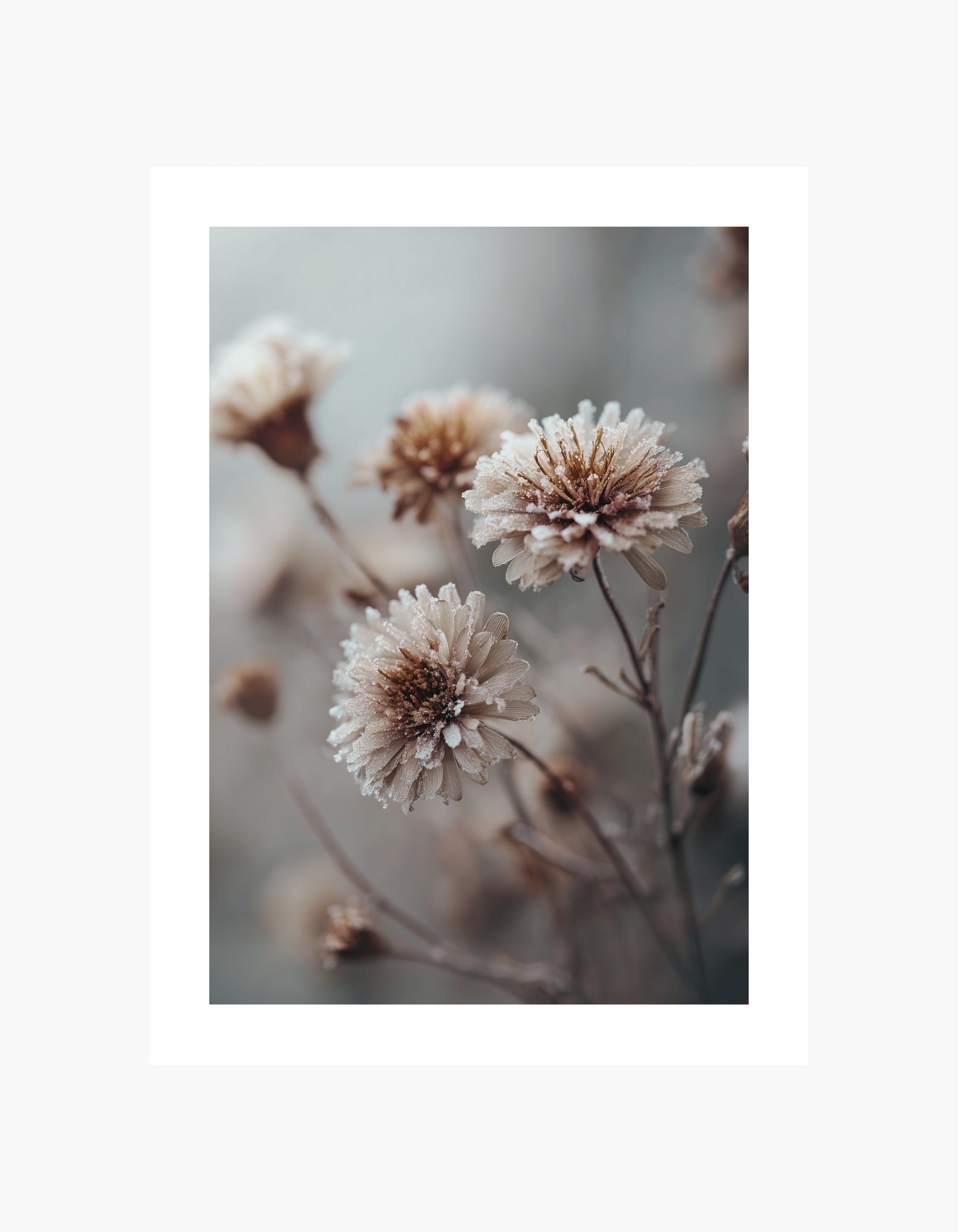 Frostet plakat med vilde blomster
