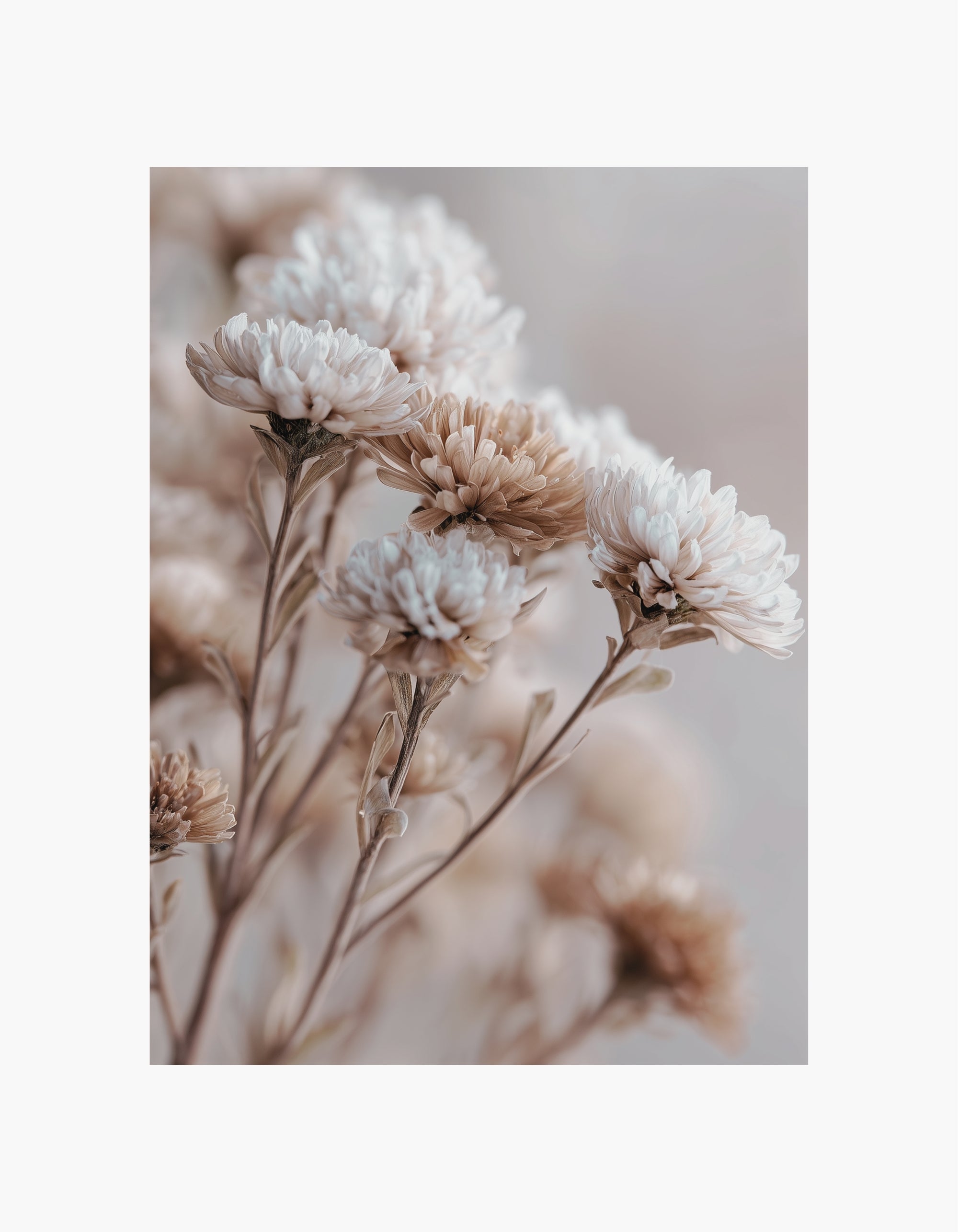 Blød beige blomsterplakat