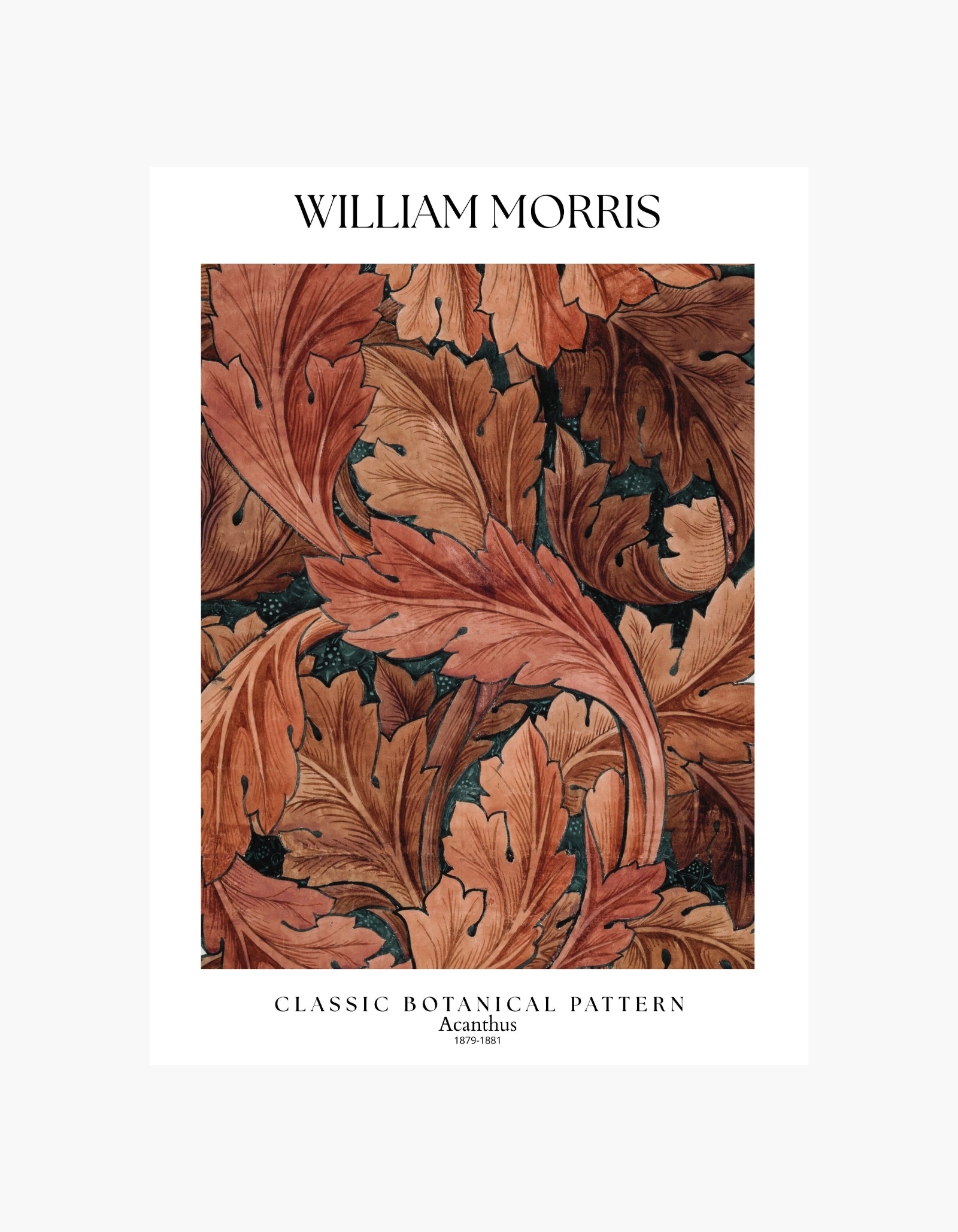 William Morris Acanthus-plakat