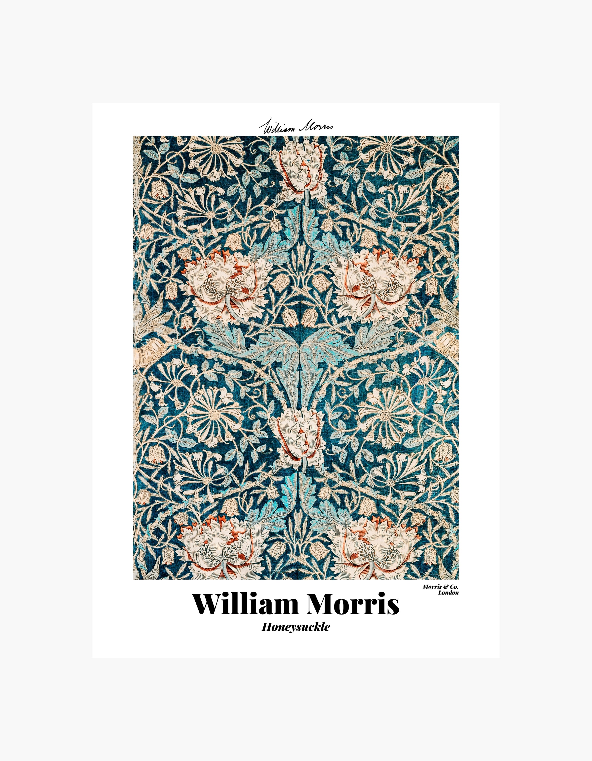 William Morris Honeysuckle-plakat