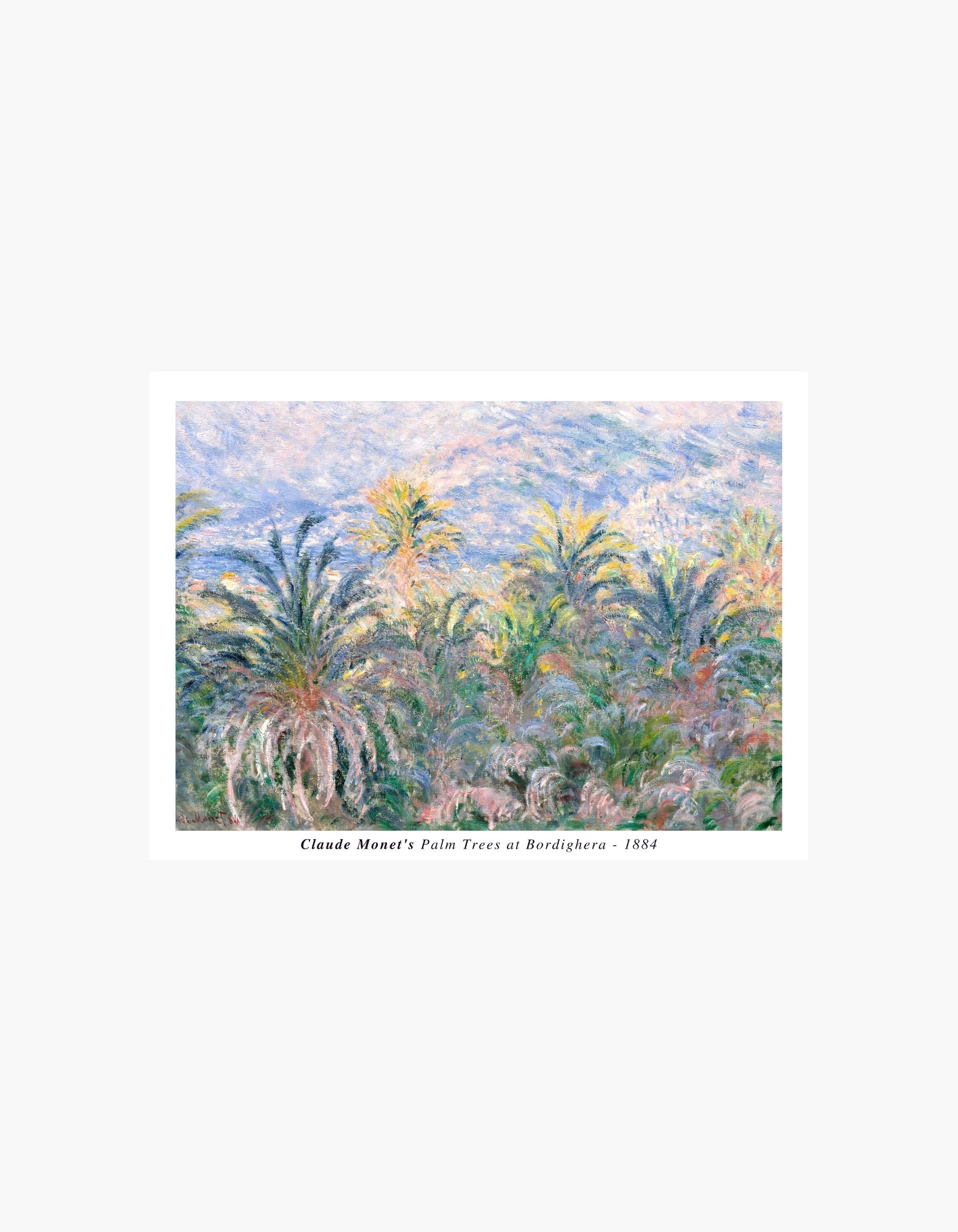 Monet Palmetræer ved Bordighera Poster