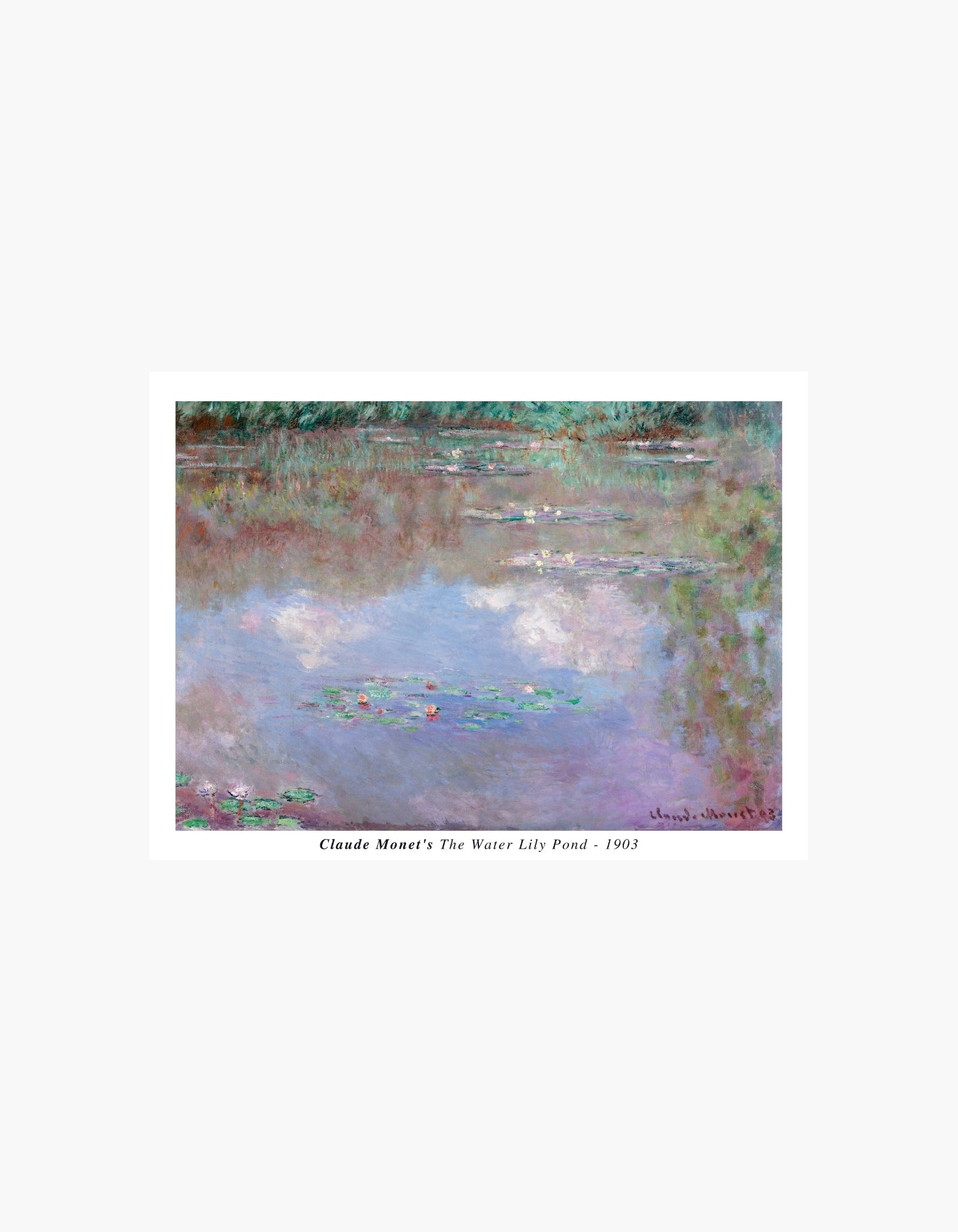 Monet Åkandedammen Plakat