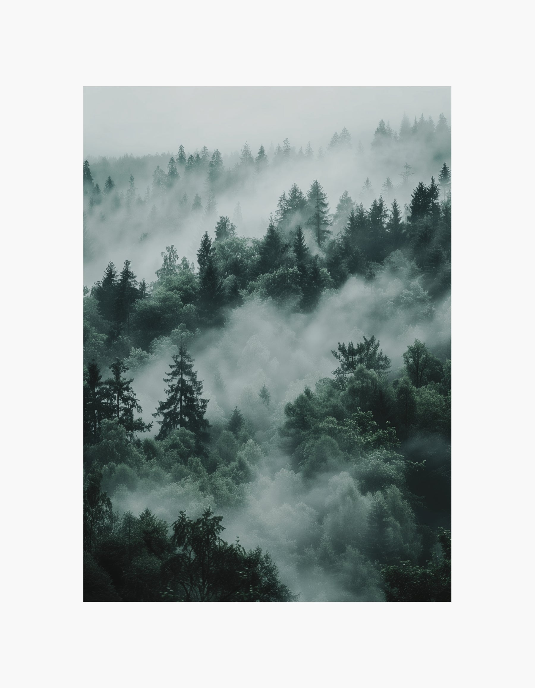 Misty Forest Plakat