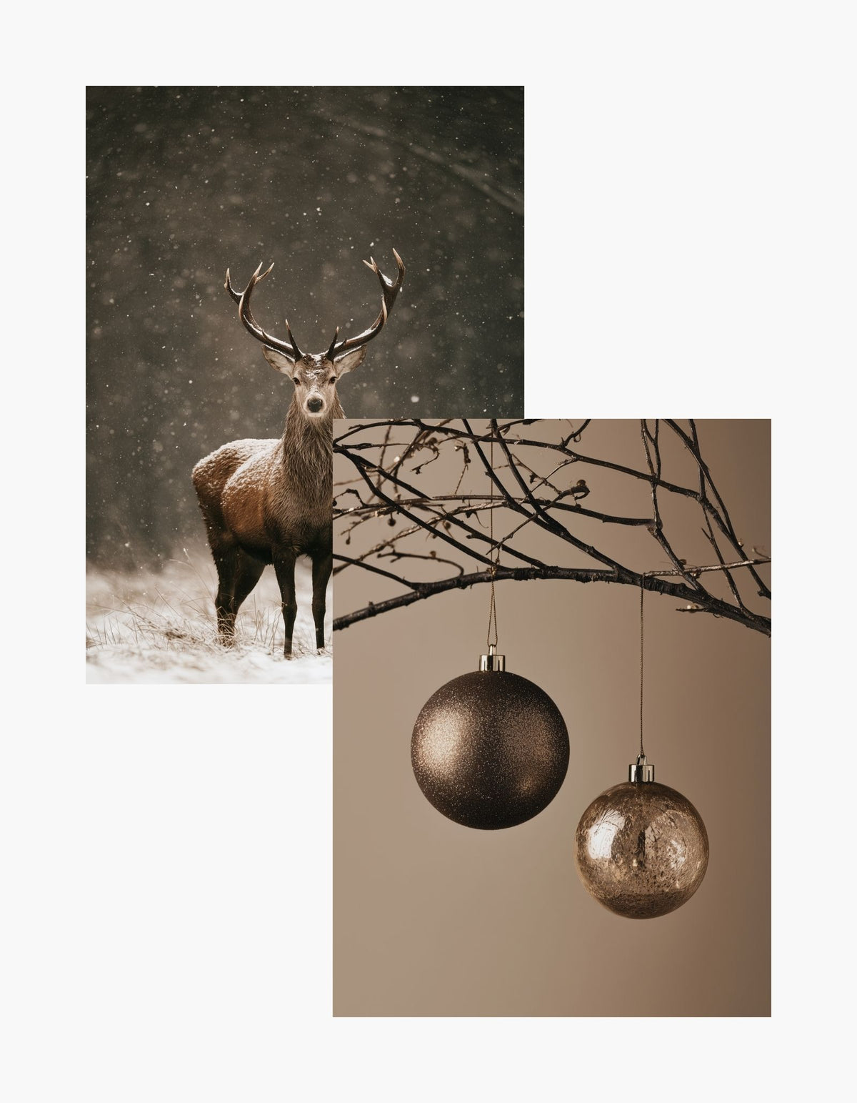 Winter Moments Posterpaket