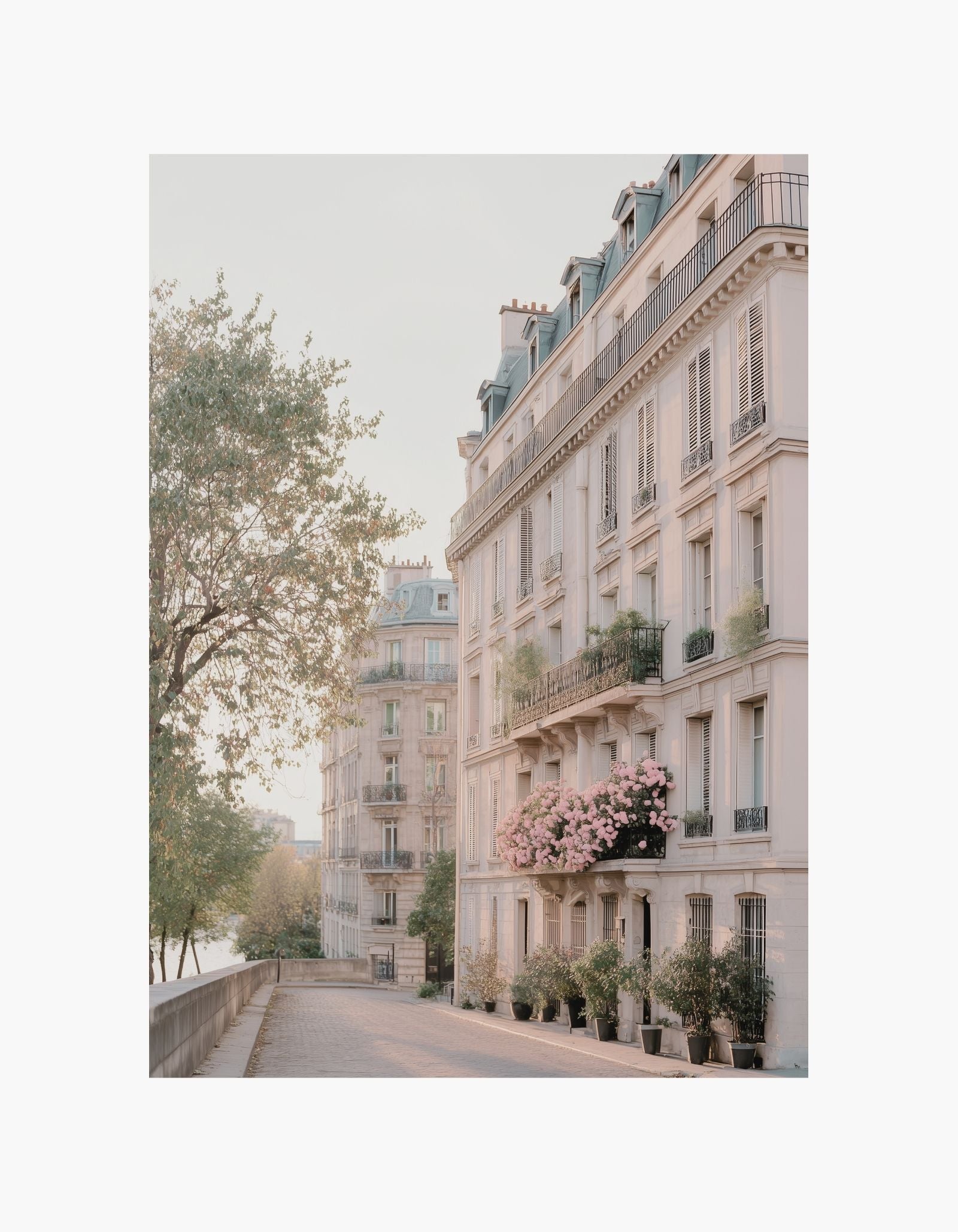 Paris Balkon Blomster Plakat