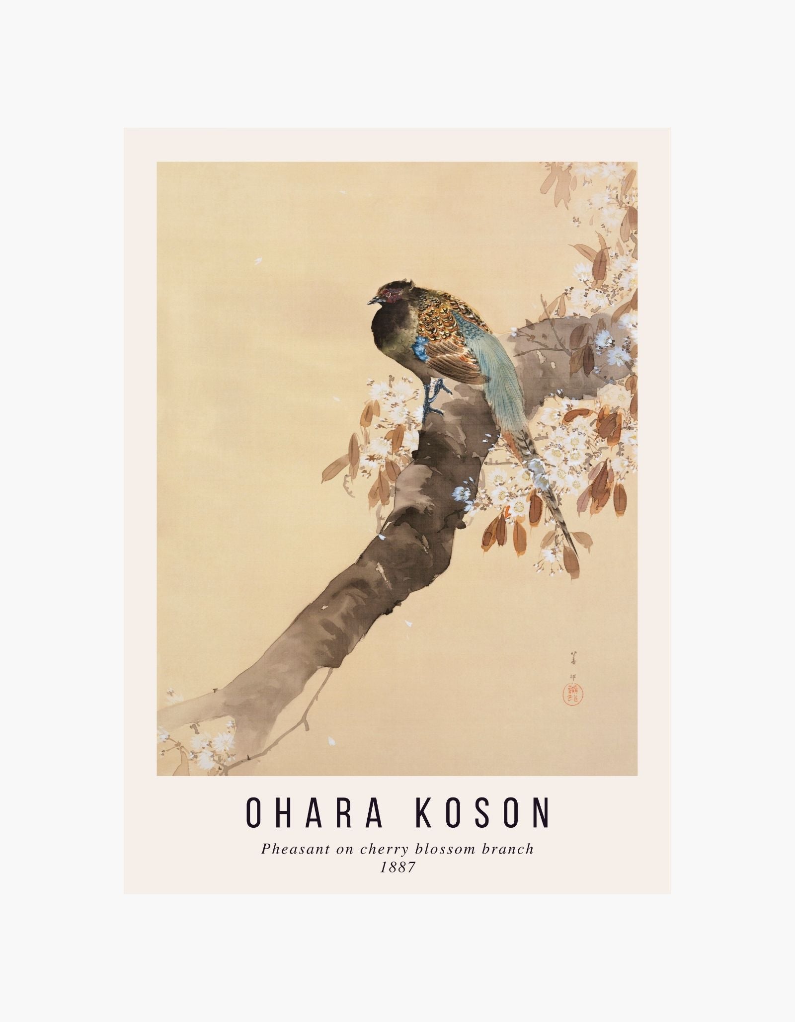 Ohara Koson Fasan på kirsebærblomstret gren Plakat
