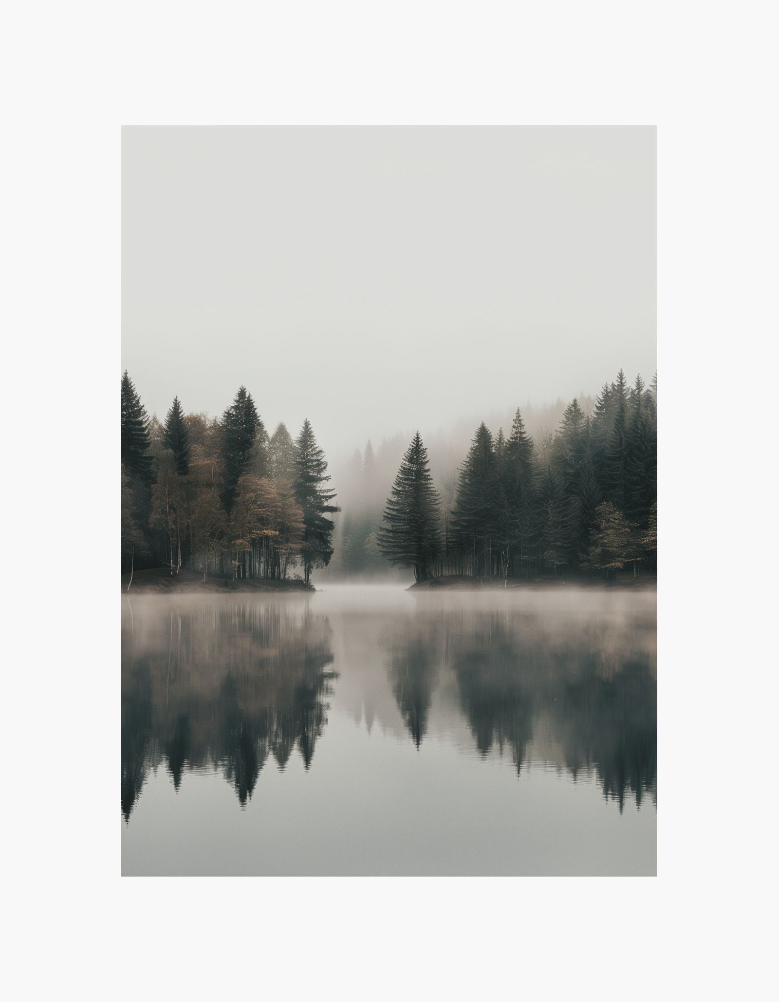 Forest Lake Plakat