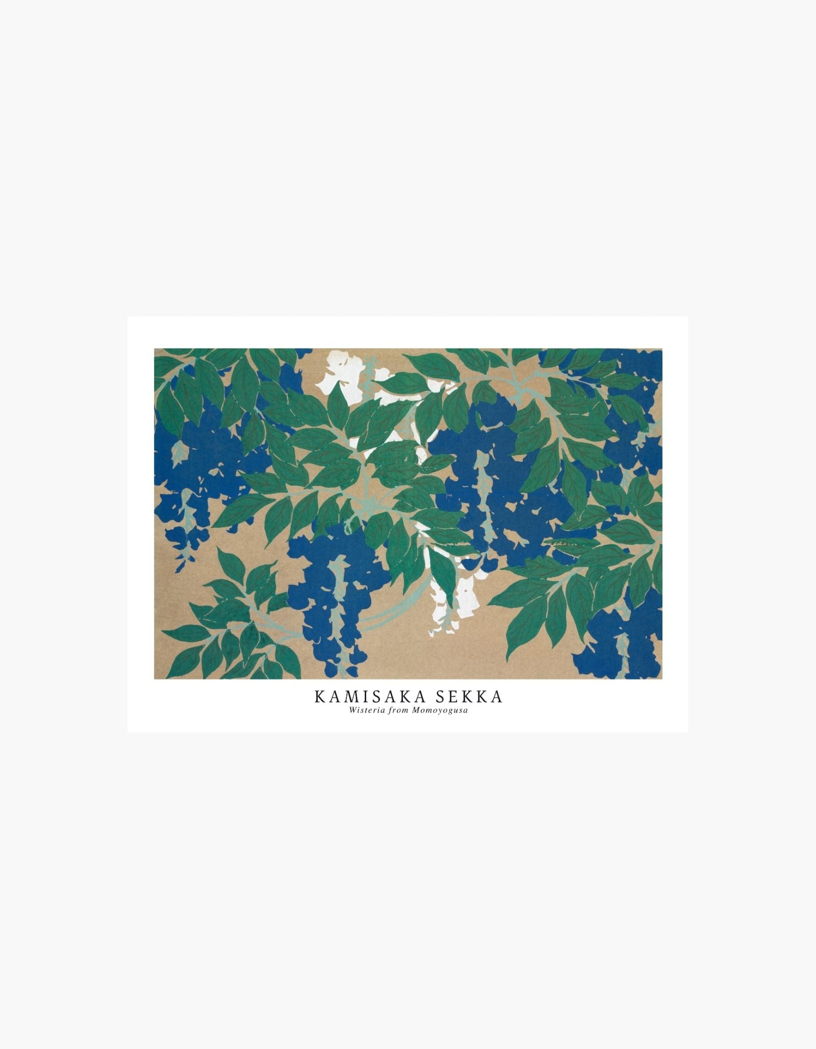 Kamisaka Sekka Wisteria fra Momoyogusa Plakat