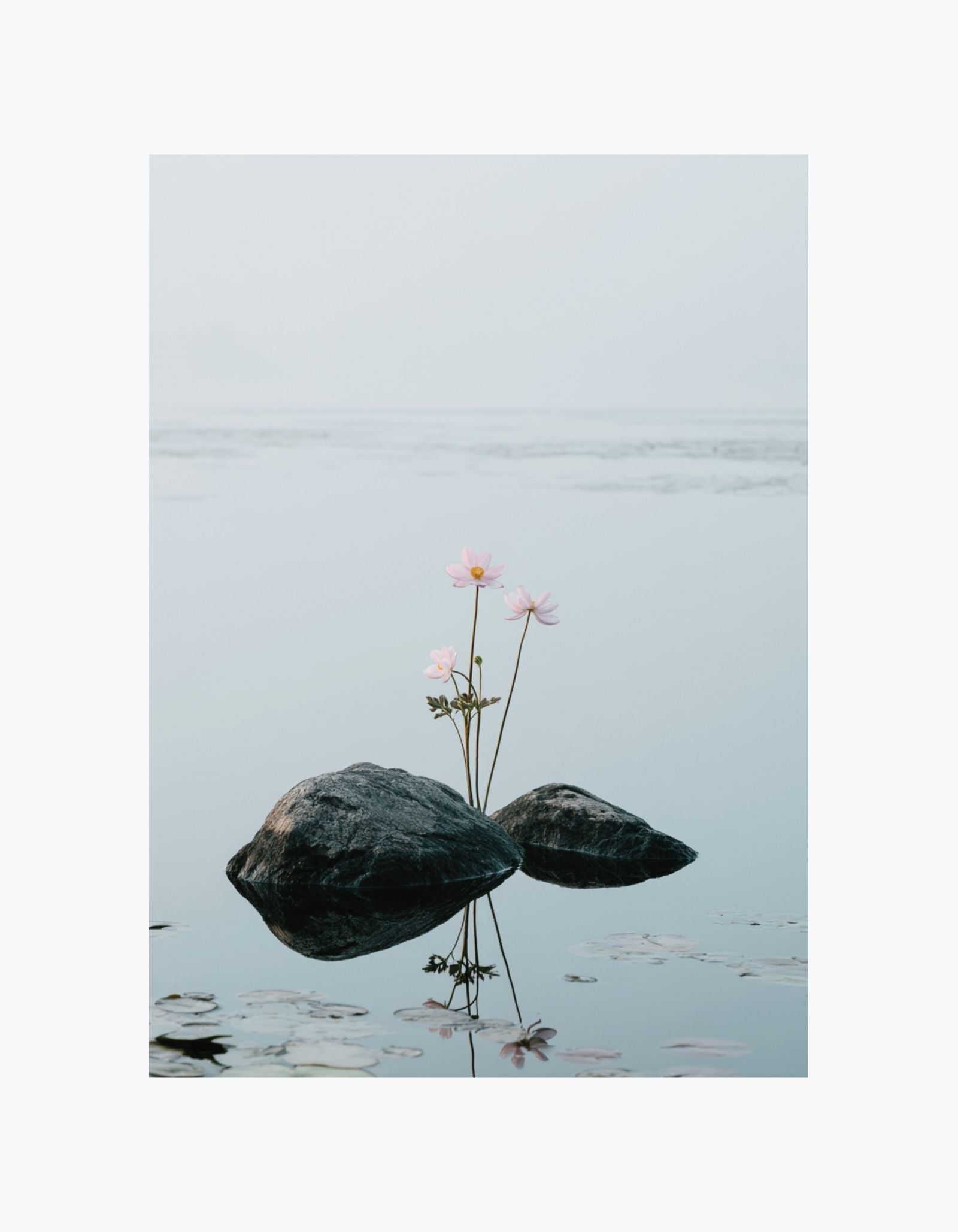 Still Waters Bloom Poster