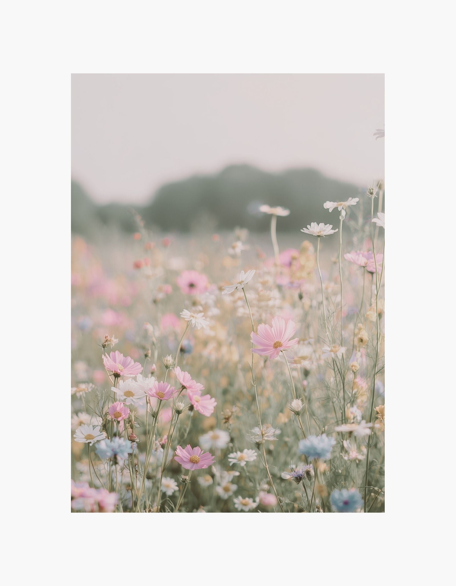 Pastel Meadow Poster