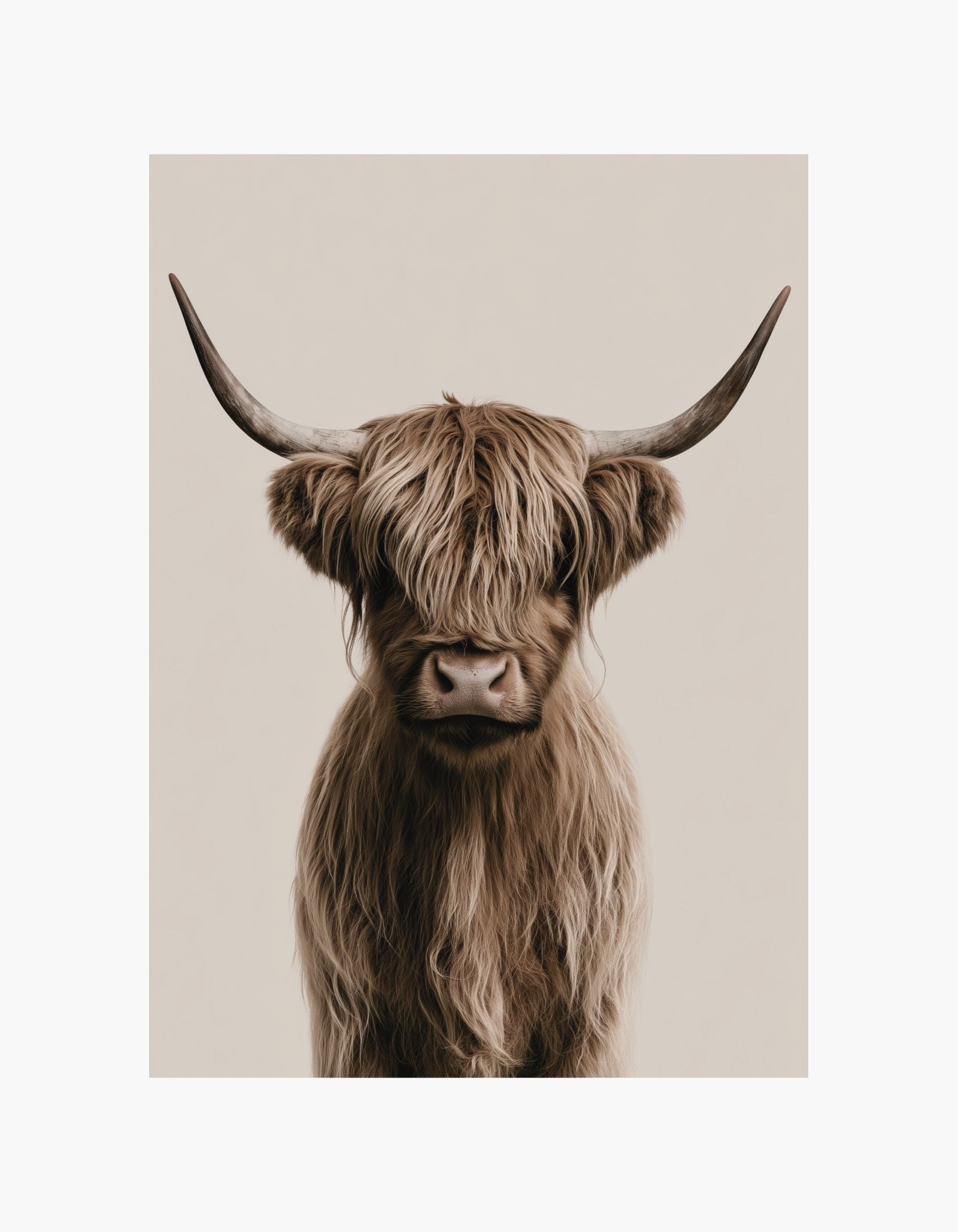Highland Cow Poster