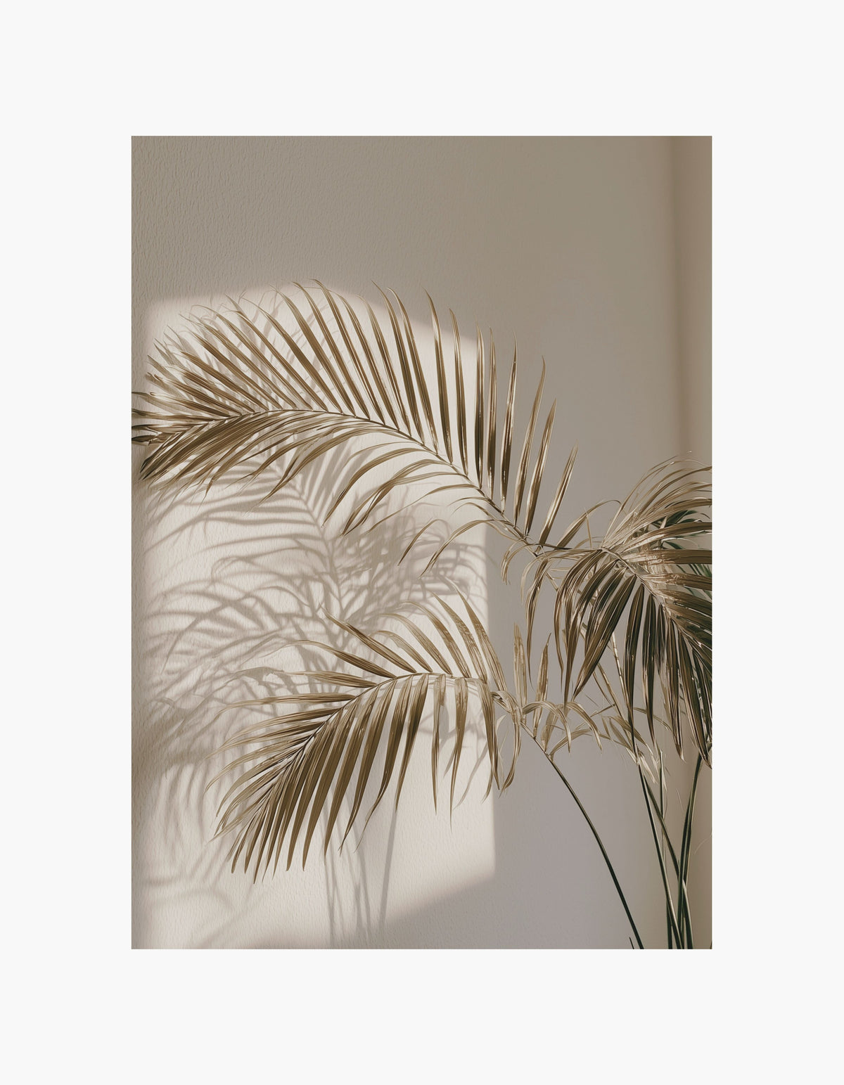 Golden Palm Shadow Poster