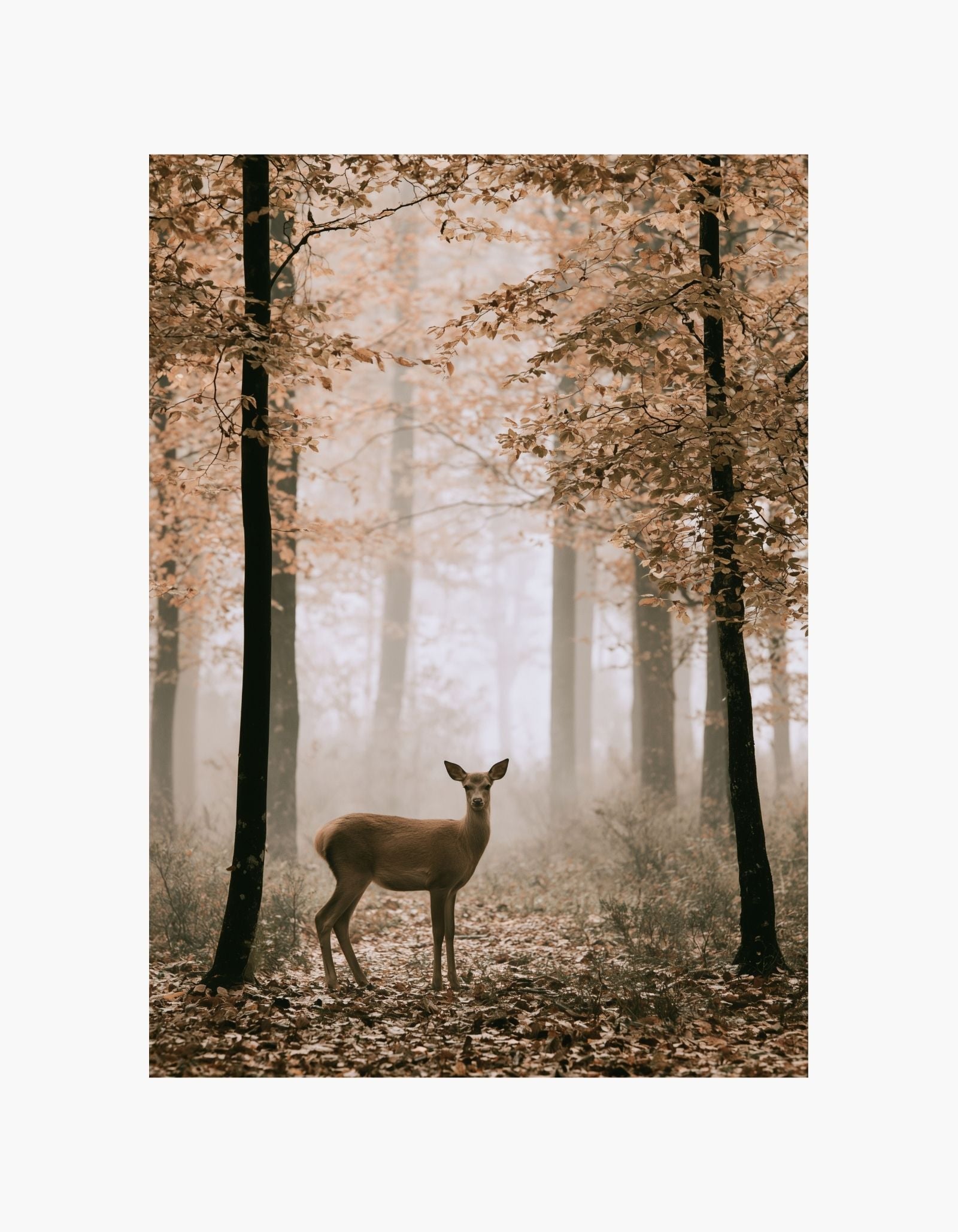 Autumn Deer Poster