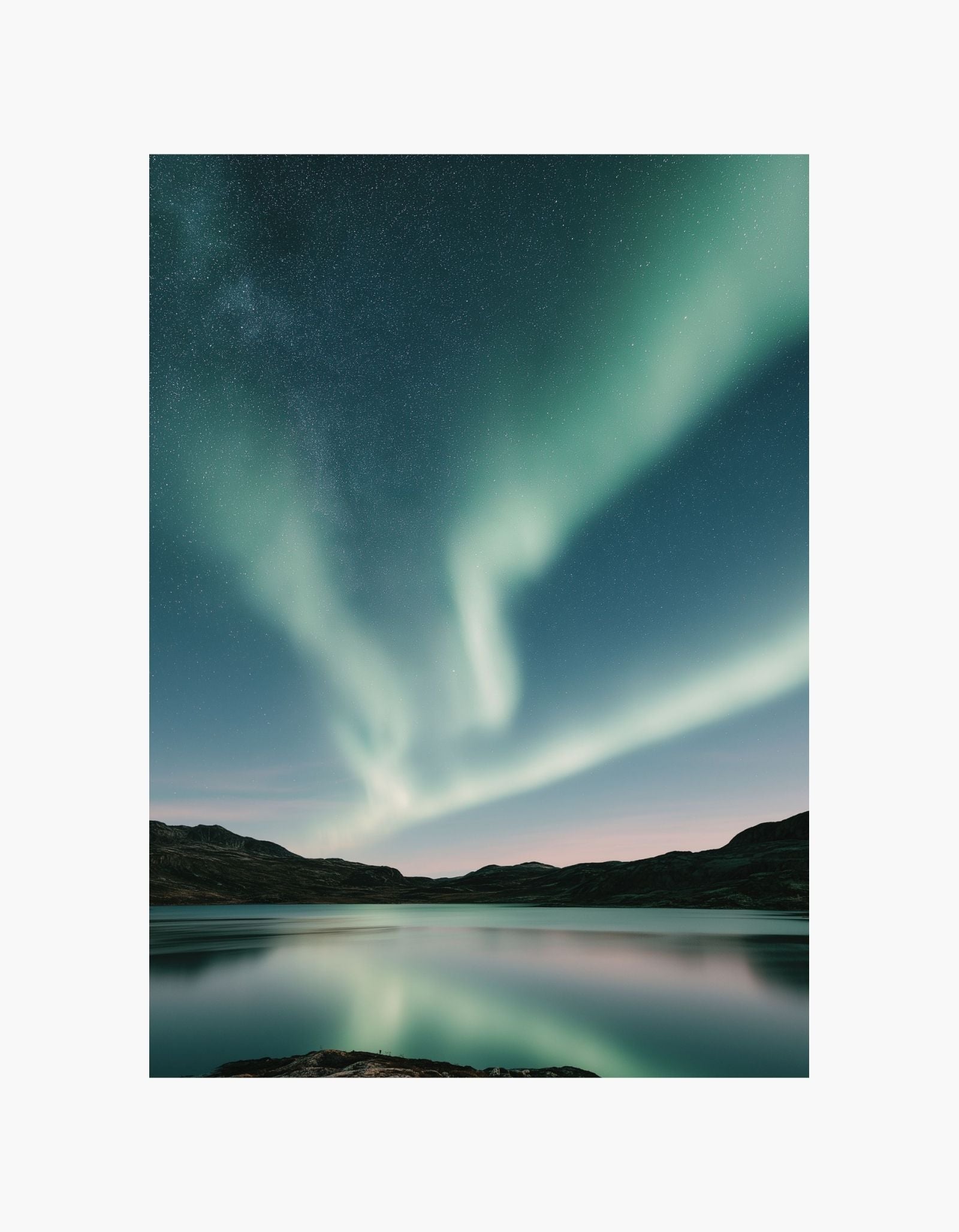 Bogstav V Blomsterplakat