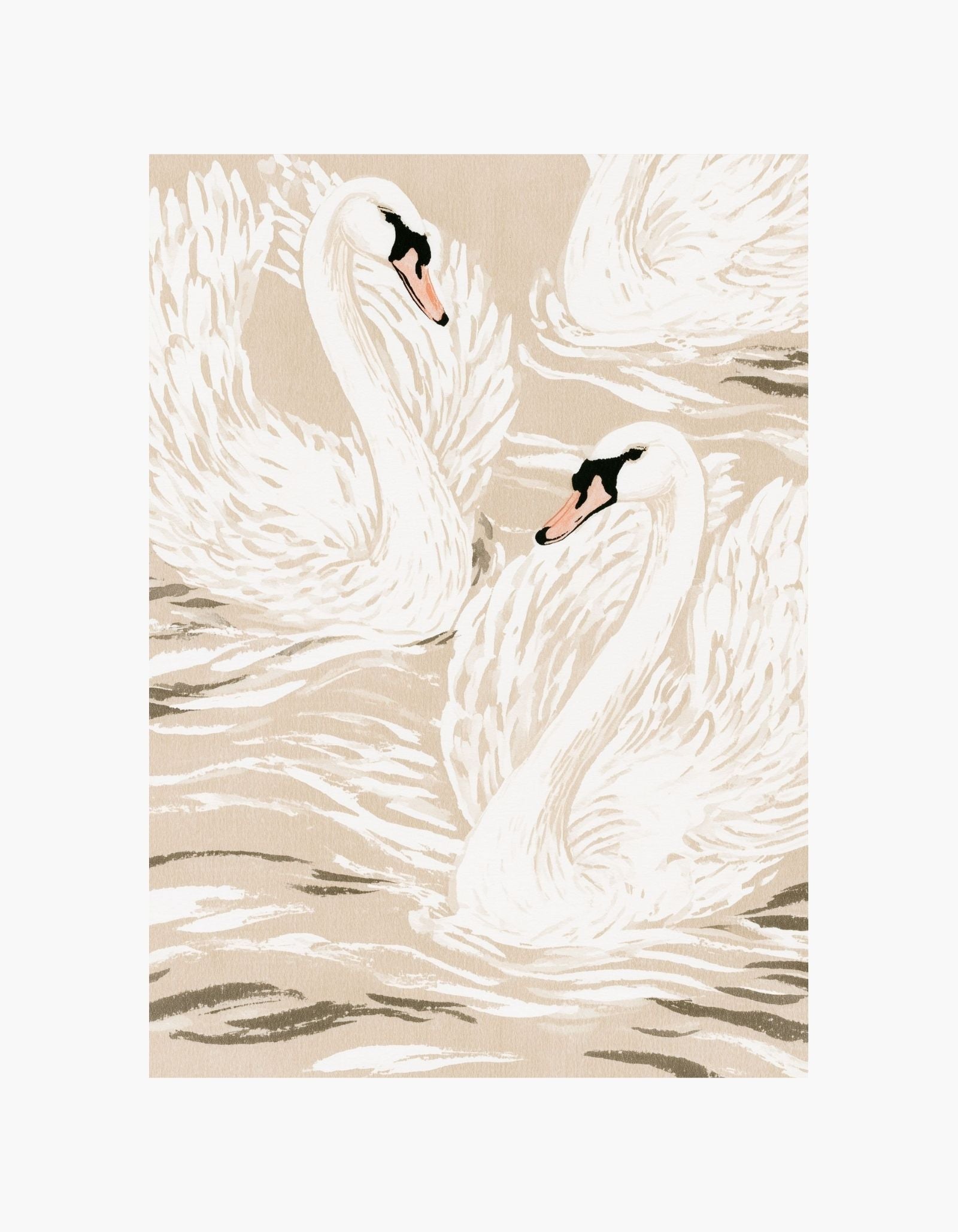 Swan Harmony Poster