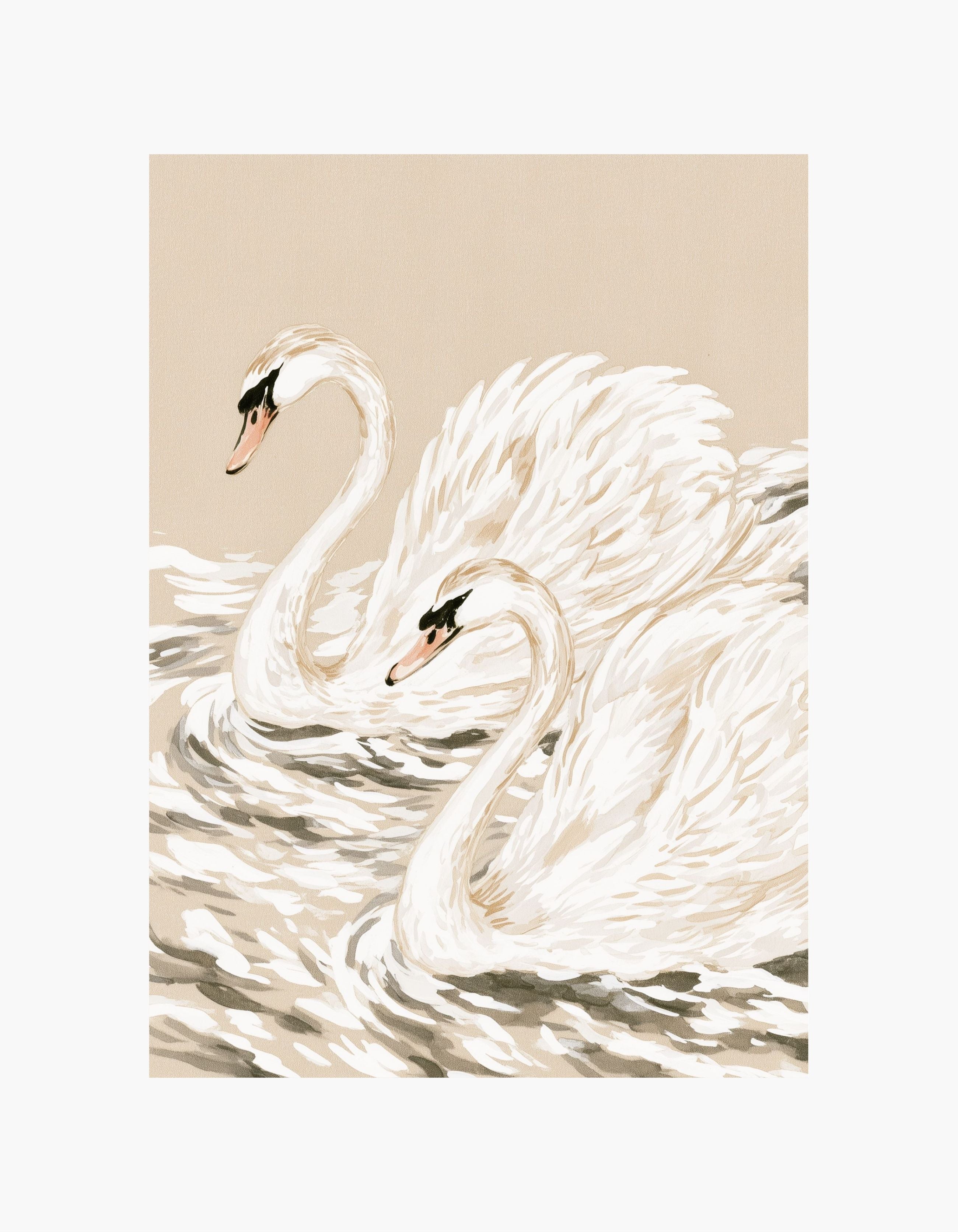Graceful Swans Poster