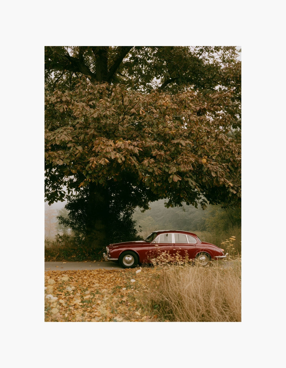 Autumn Car Poster