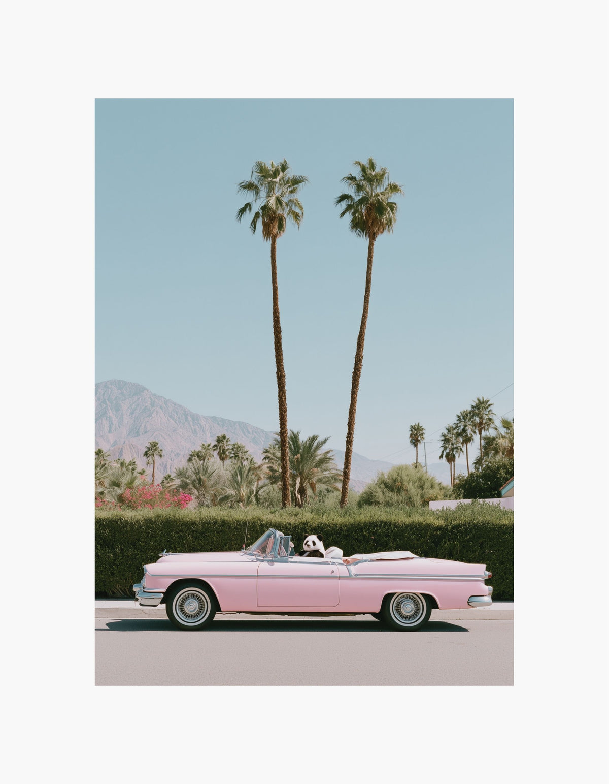 Palm Springs Ride Poster