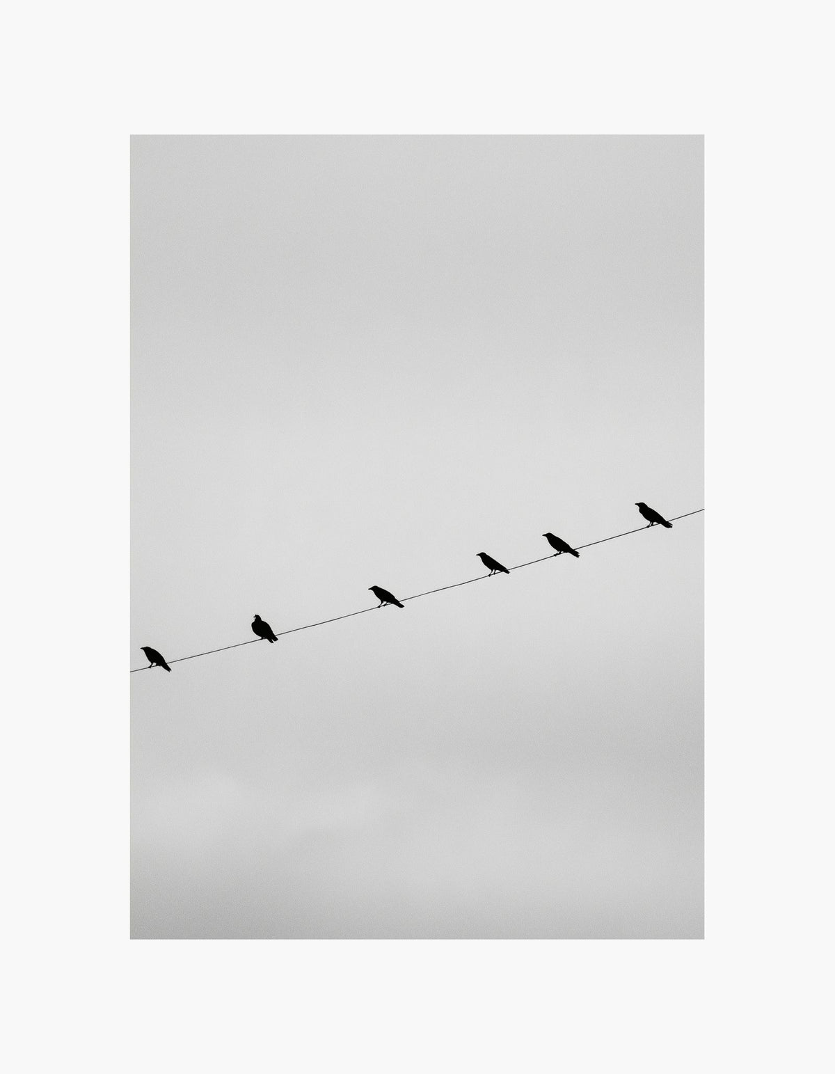 Silent Birds Poster