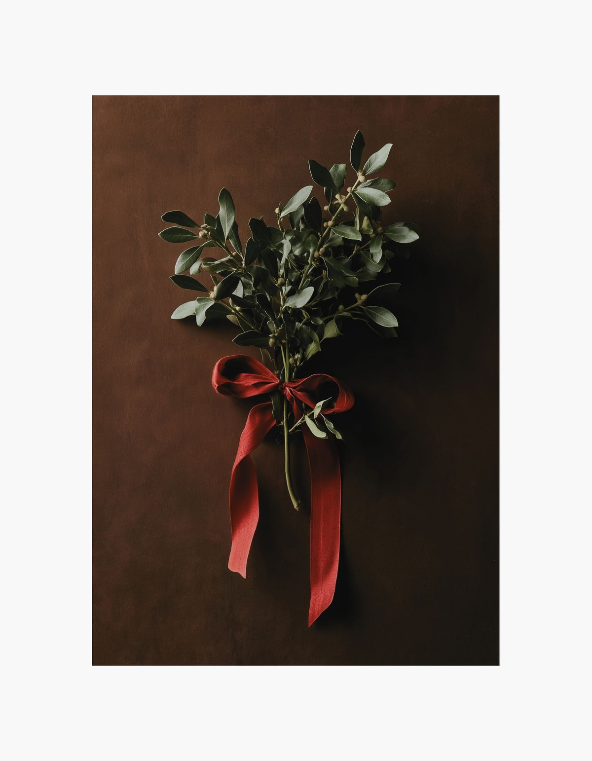 Christmas Mistletoe Poster