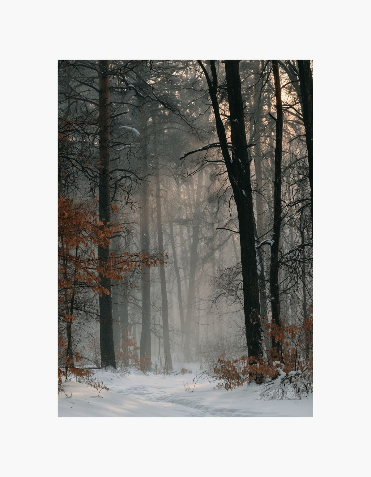 Misty Winter Forest Poster