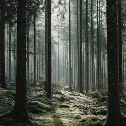 Naturmotiv