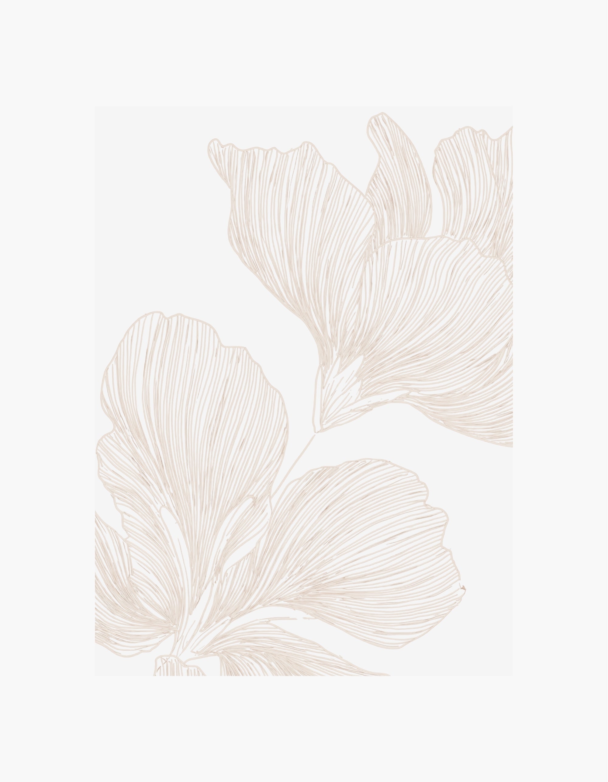 Line Flower No2 Plakat