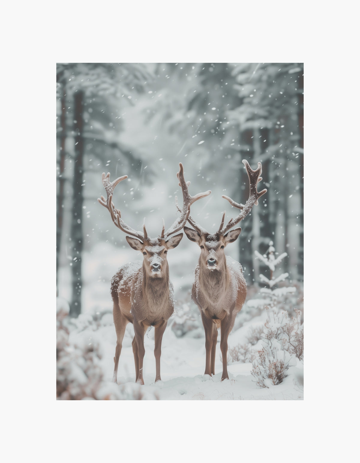 Plakat med vinterhjorte