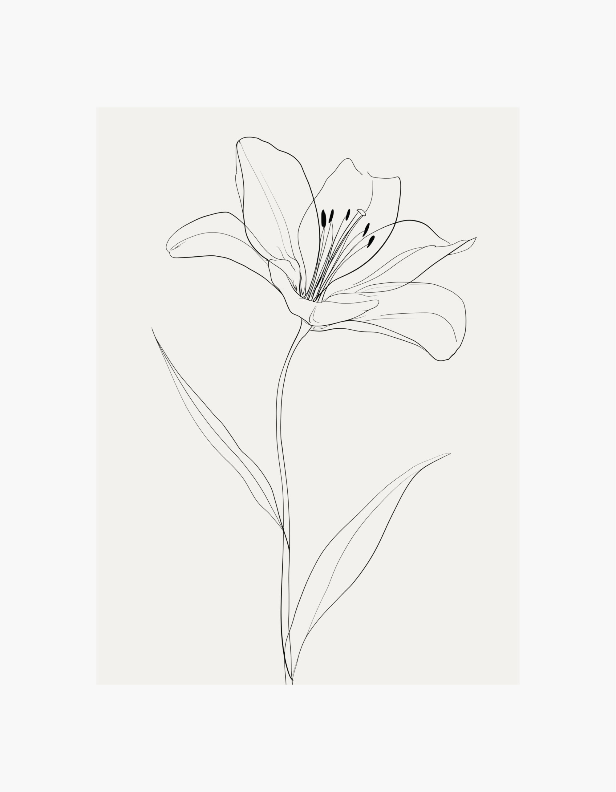 Lily Line Art No.1 Plakat