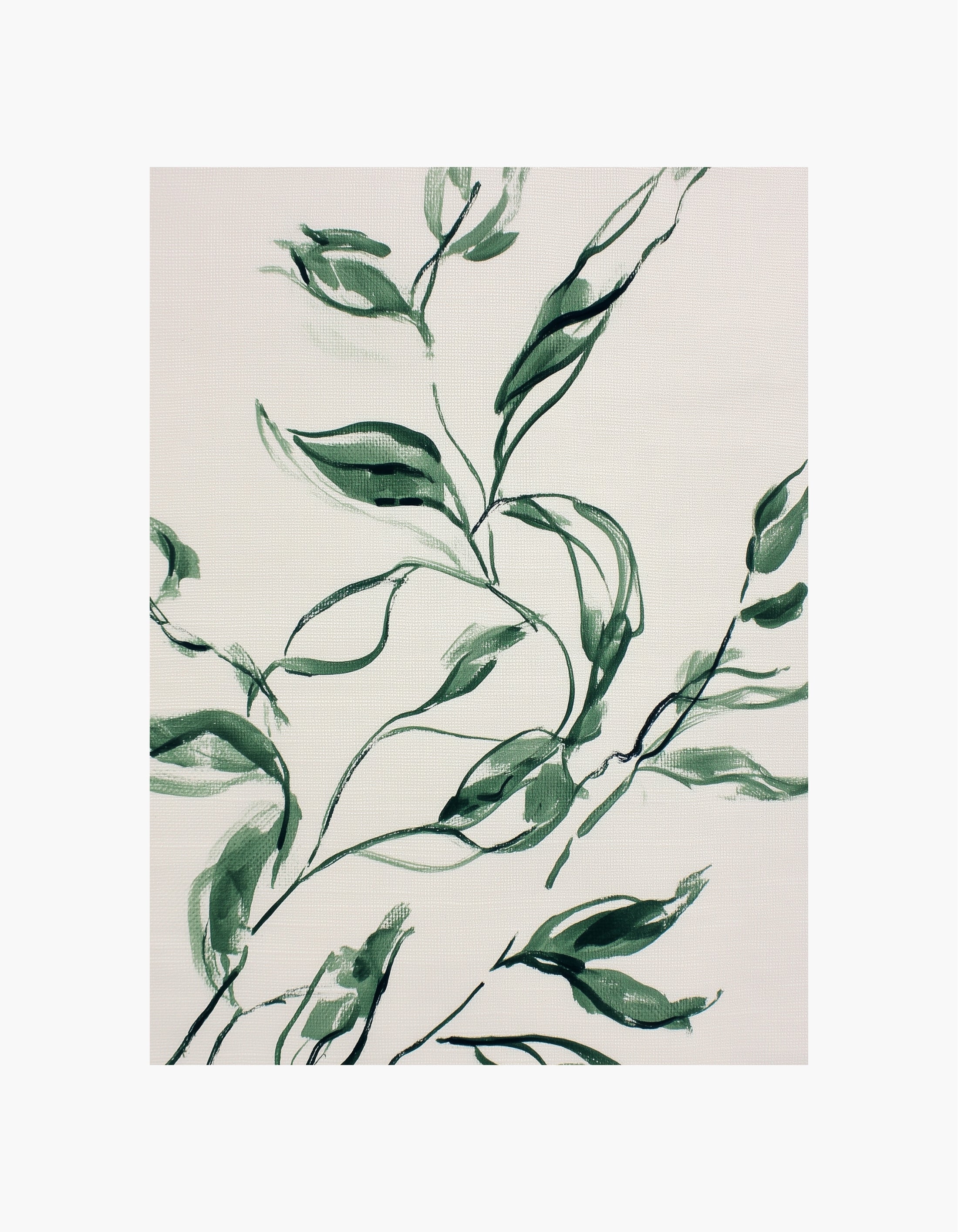 Botanisk plakat med penselstrøg