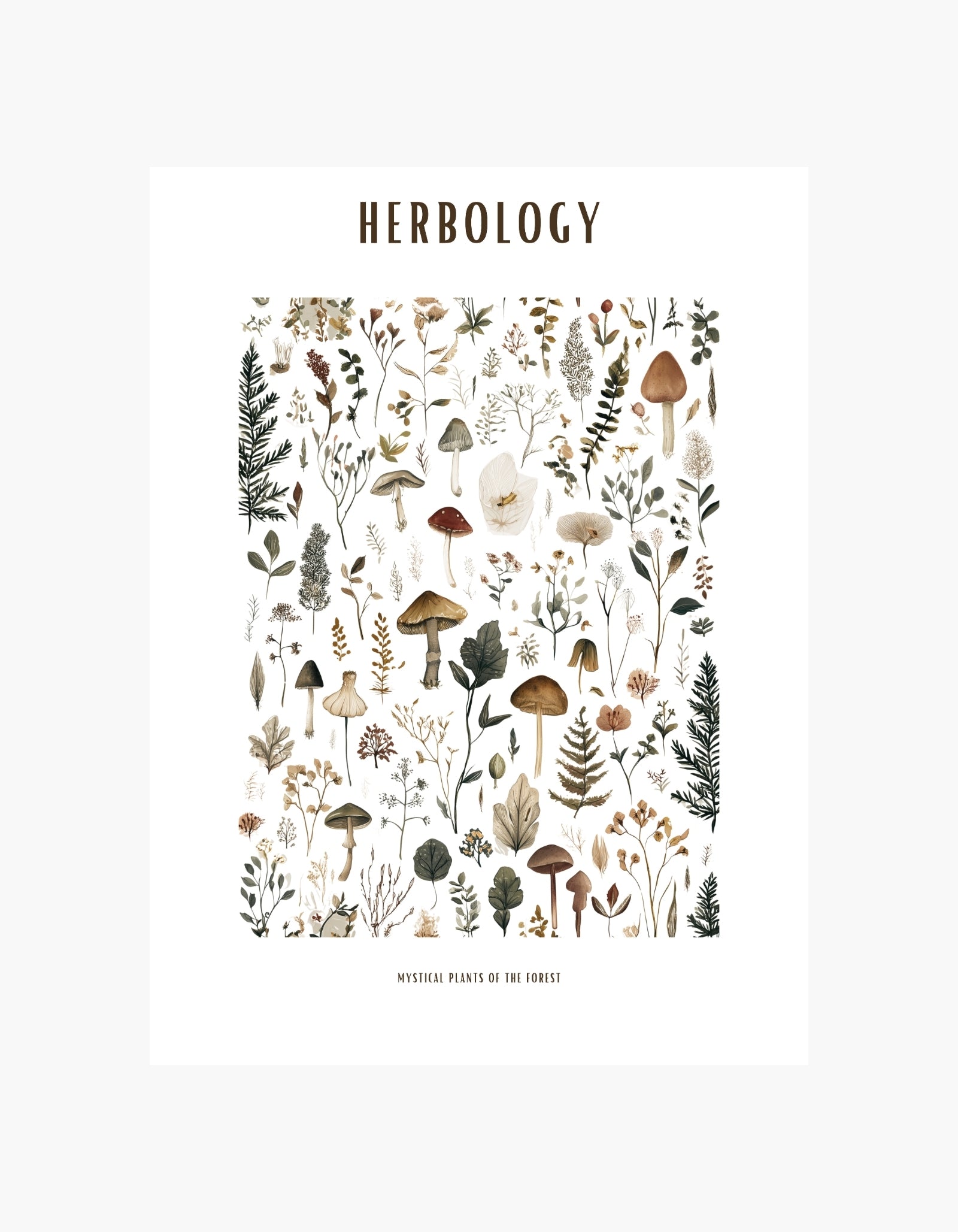 Herbologi-plakat