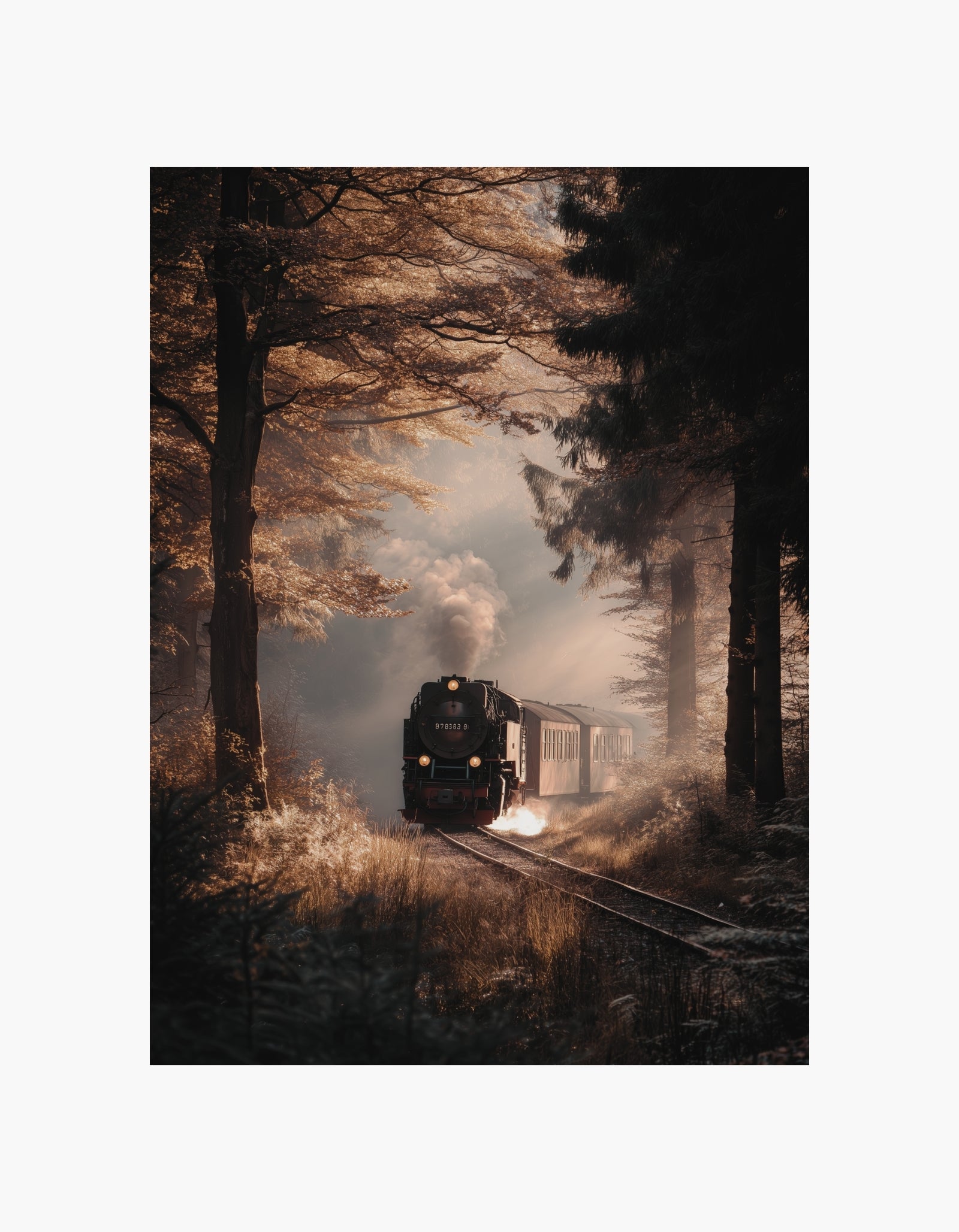Vintage togplakat