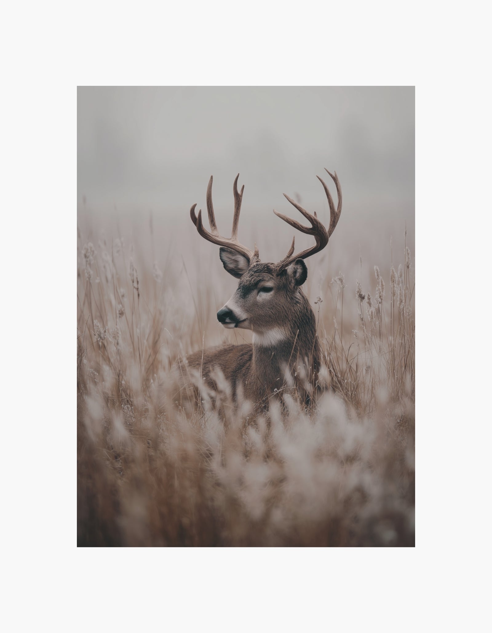Silent Stag-plakat