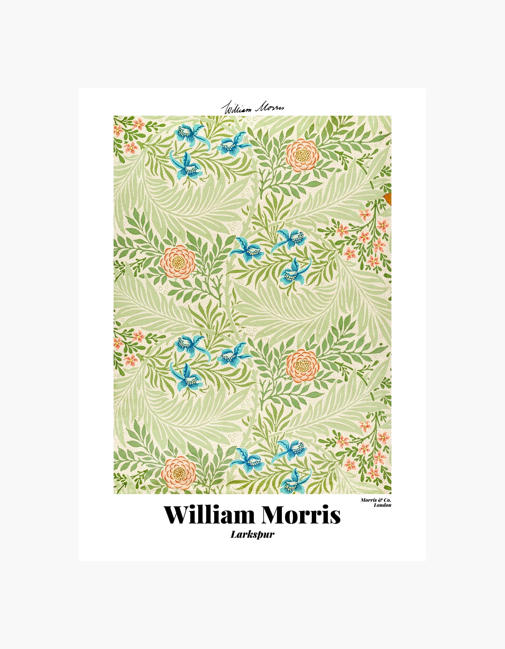 William Morris Larkspur-plakat