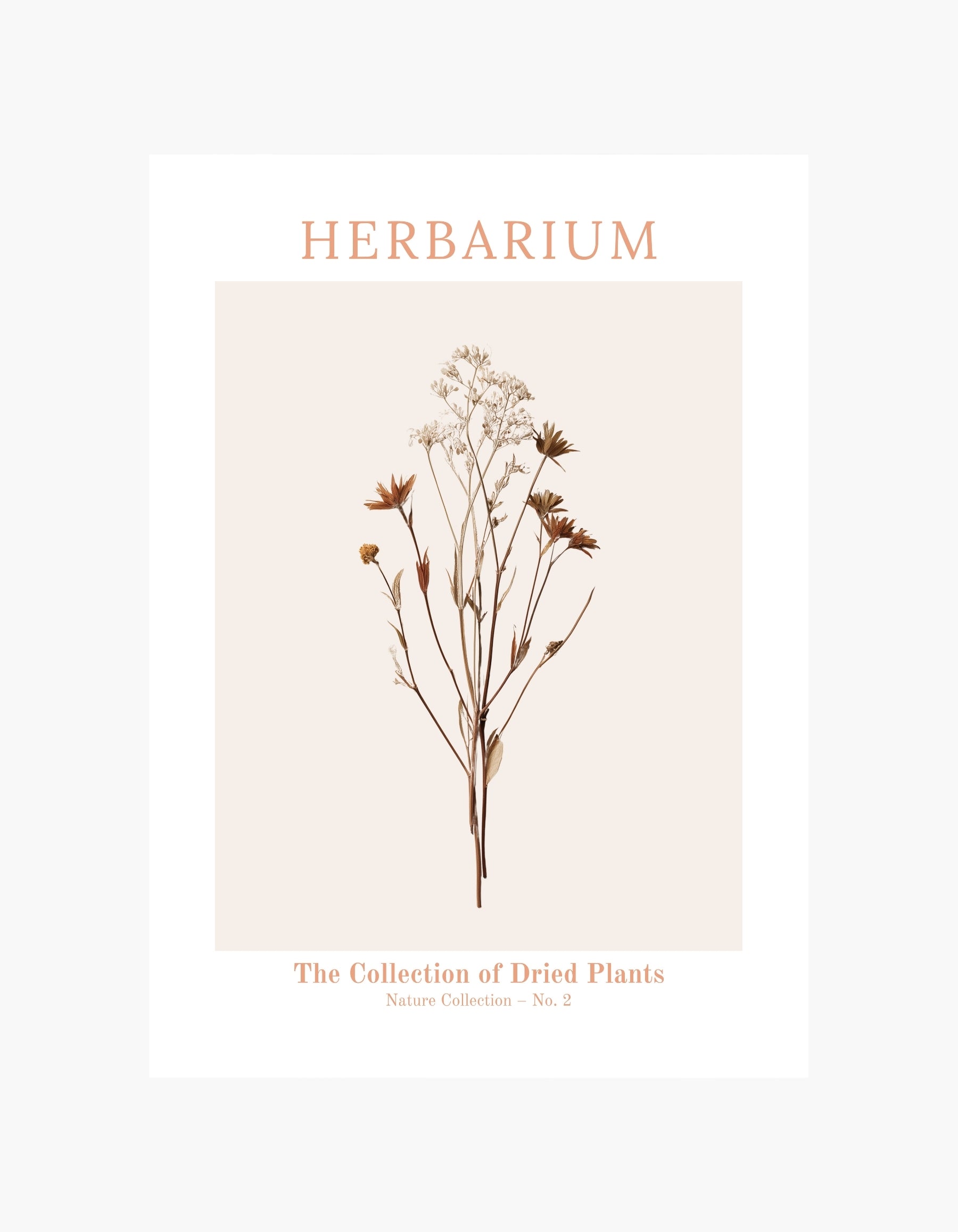 Herbarium No2 Plakat