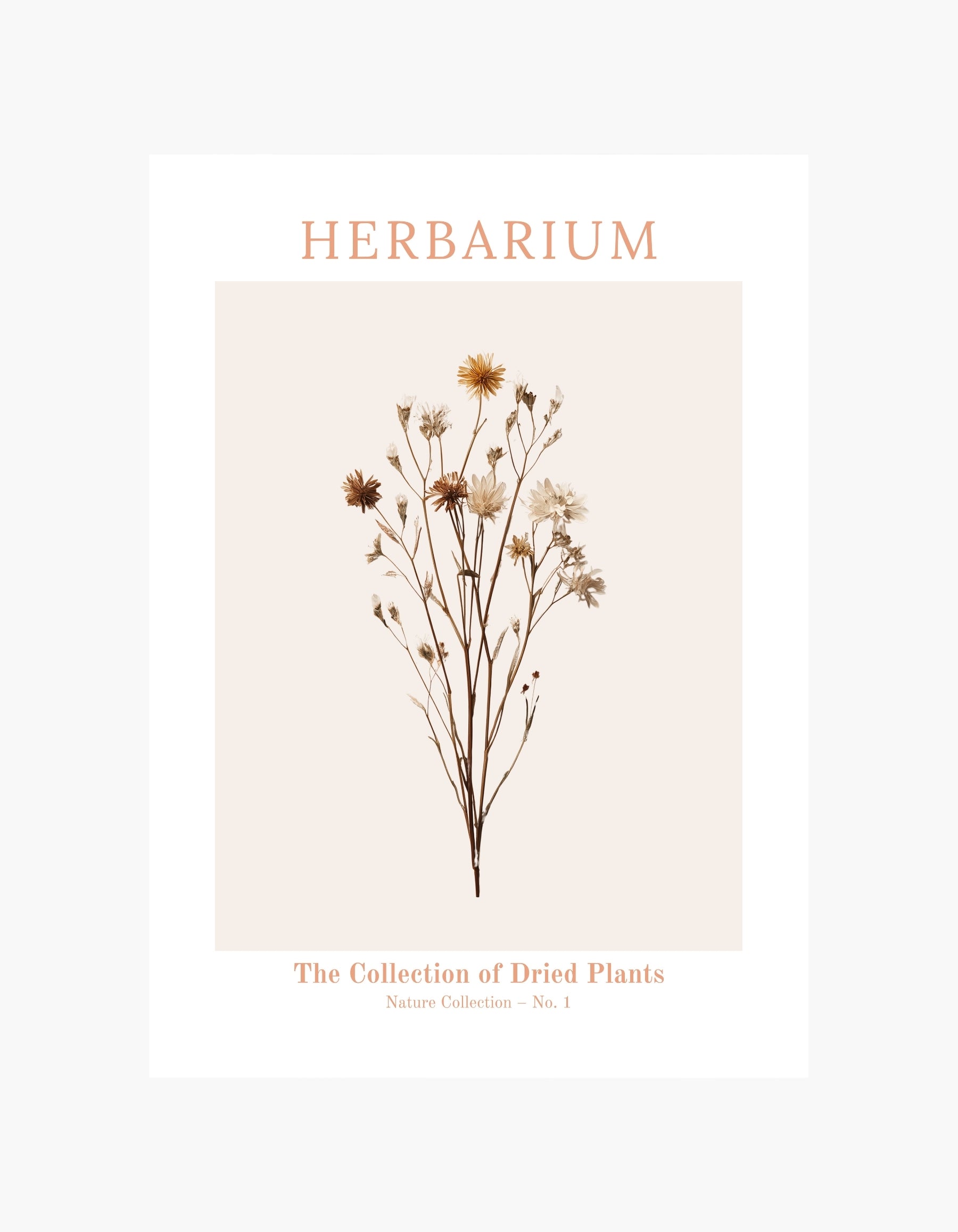Herbarium-plakat