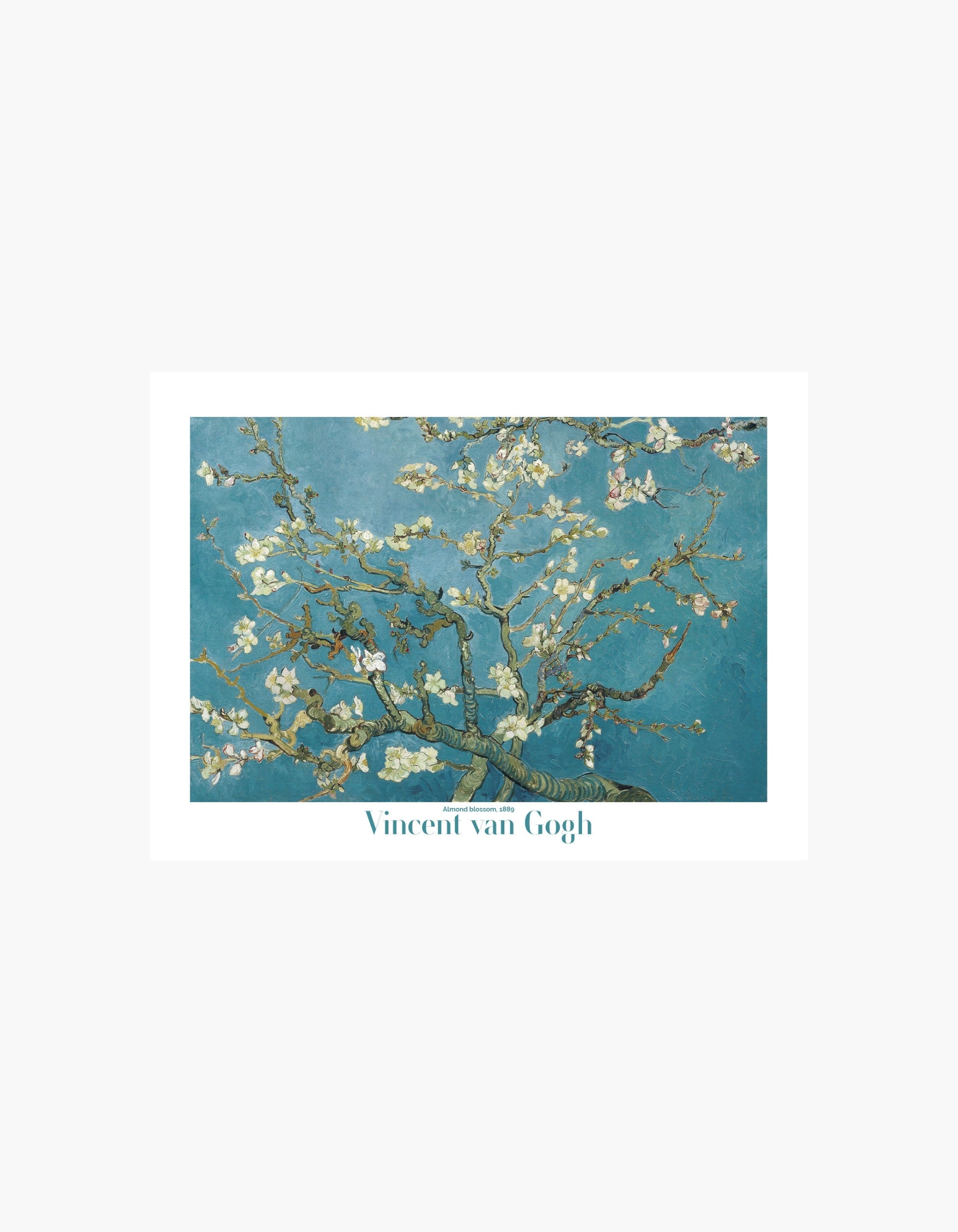 Van Gogh Mandelblomst Plakat