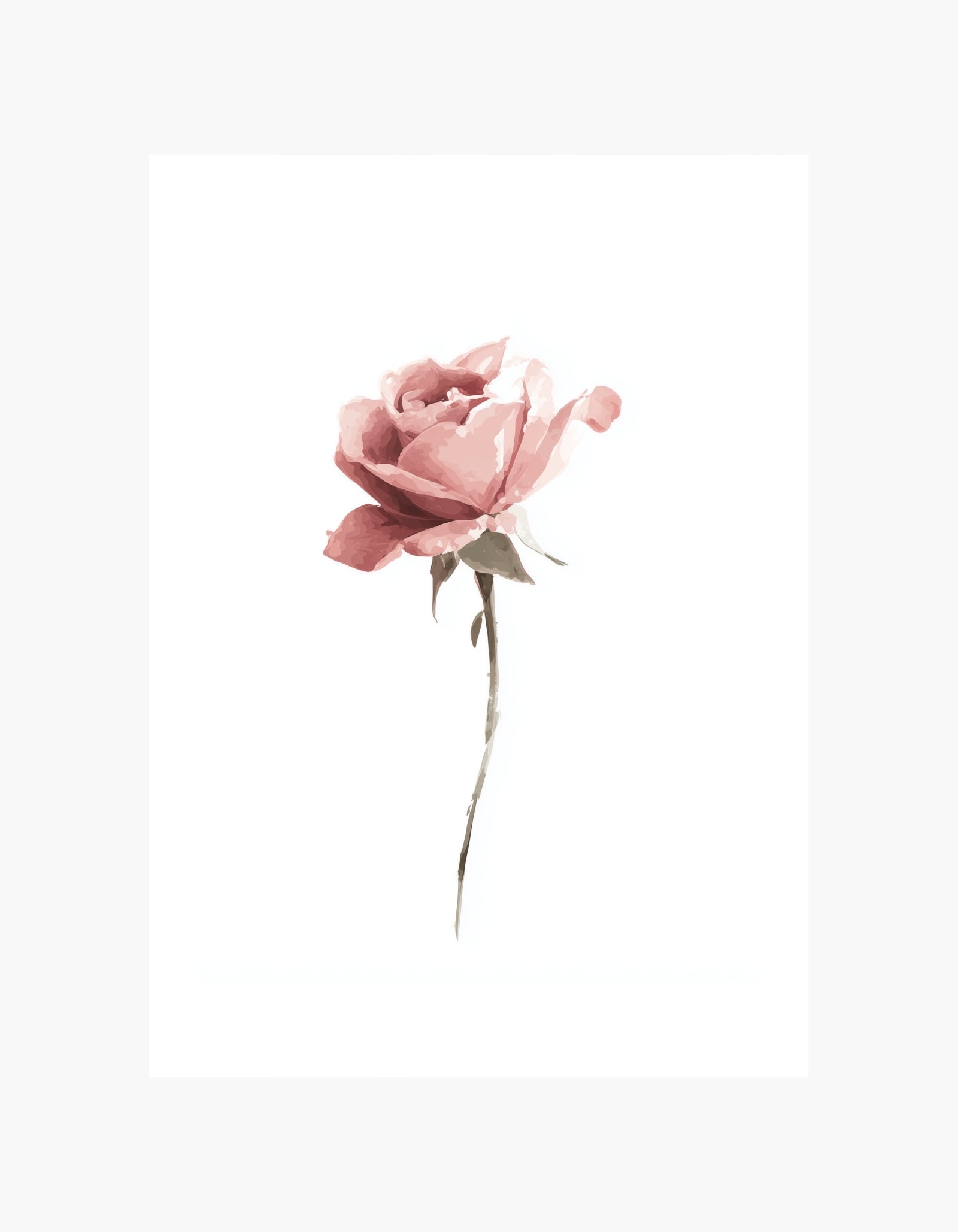 Blush Rose minimalistisk plakat