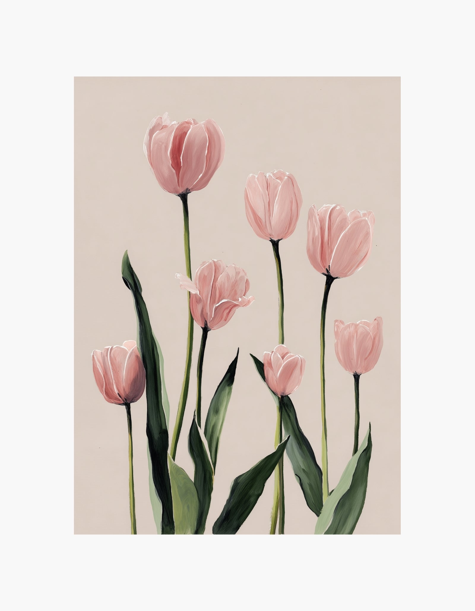 Blush Tulips No2 Plakat