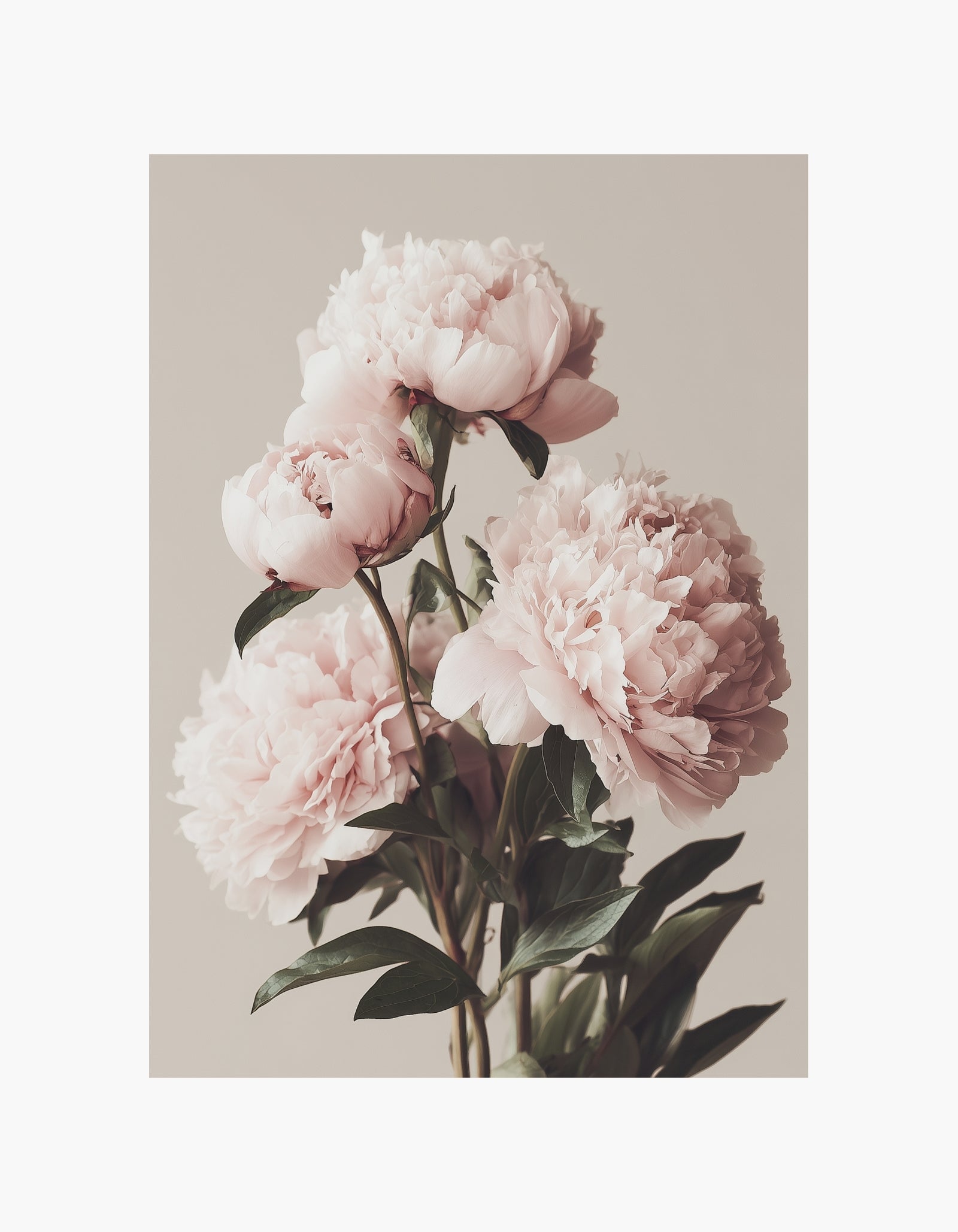 Romantisk plakat med røde blomster
