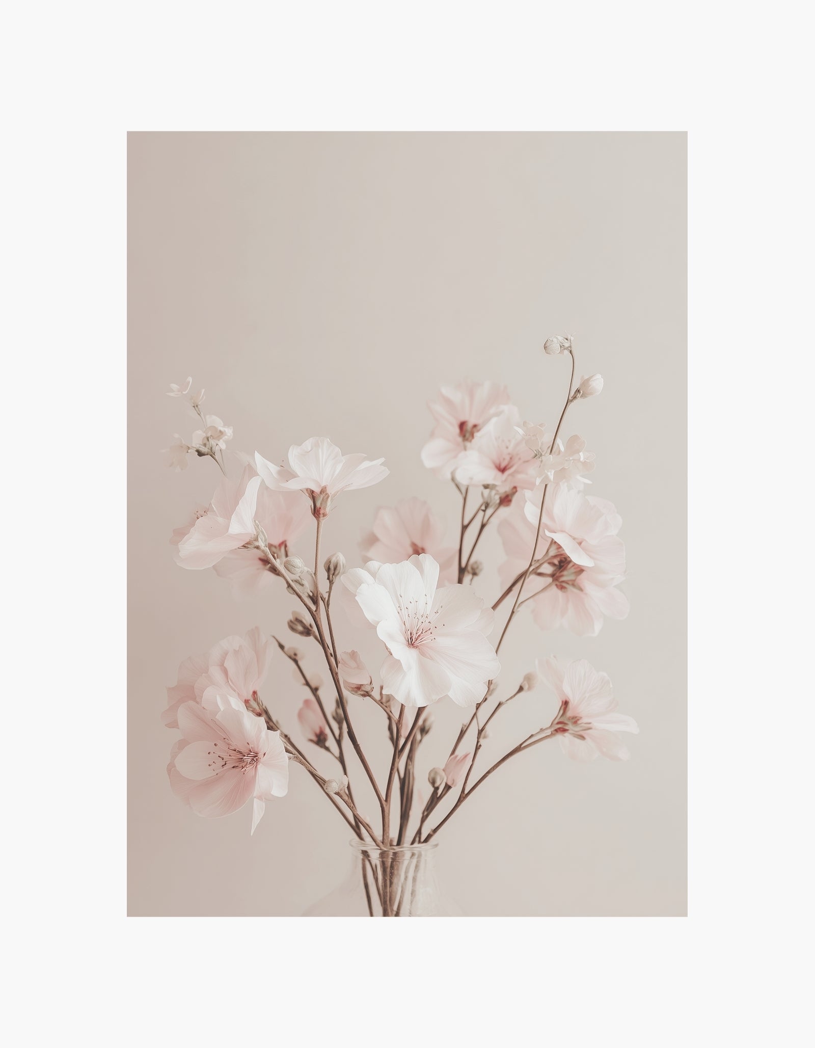 Plakat med forårsblomster