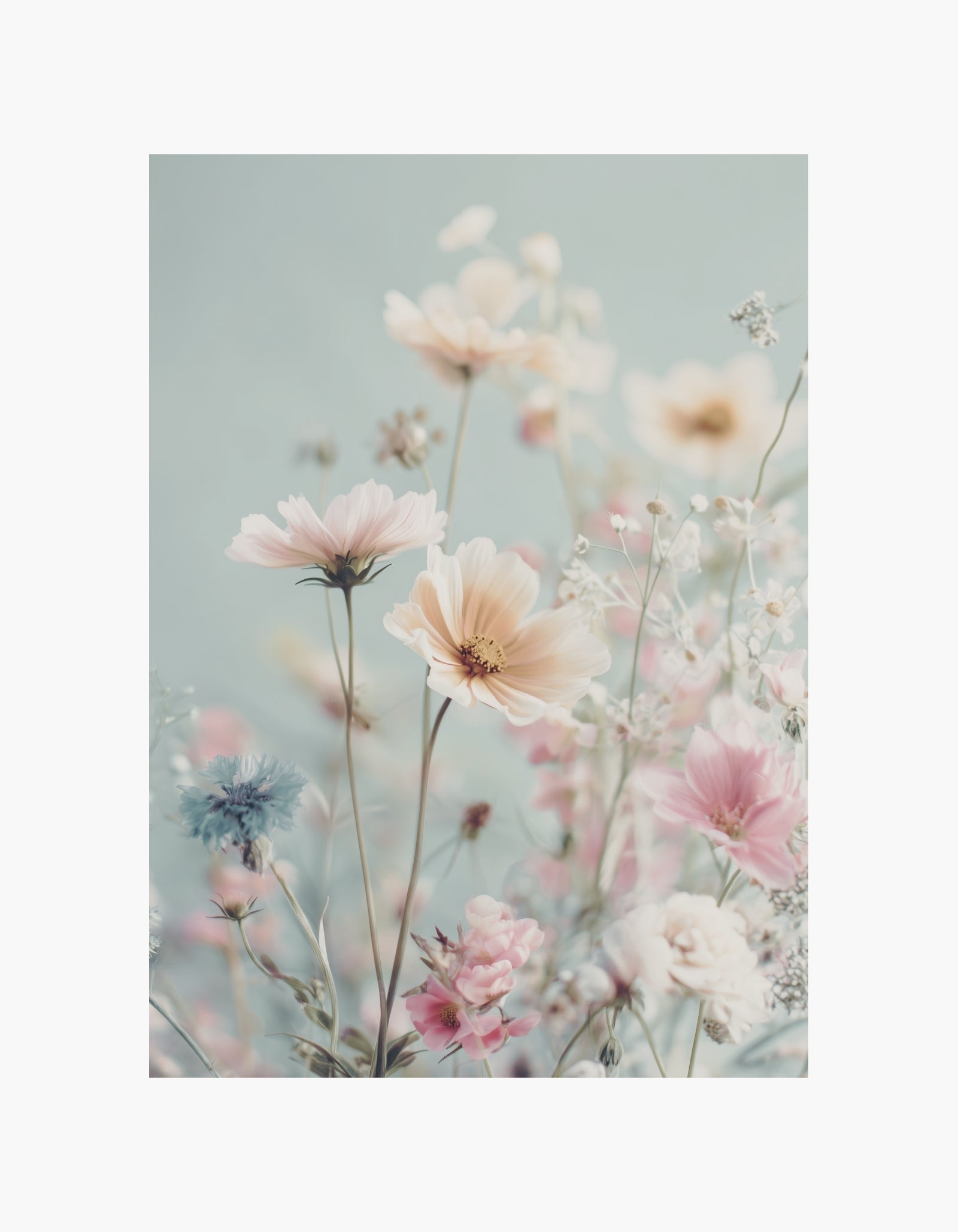 Plakat med vilde blomster i pastel