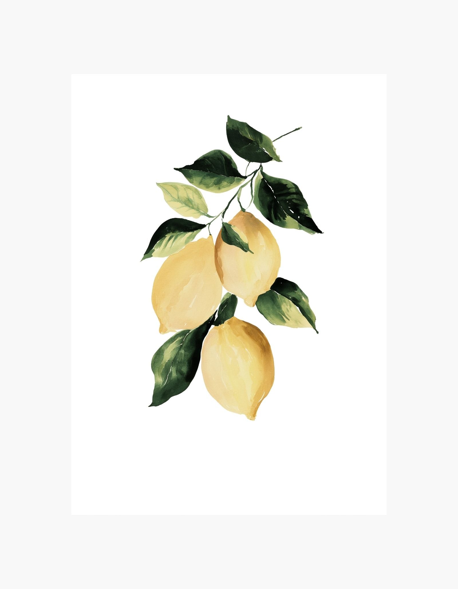 Citron-plakat